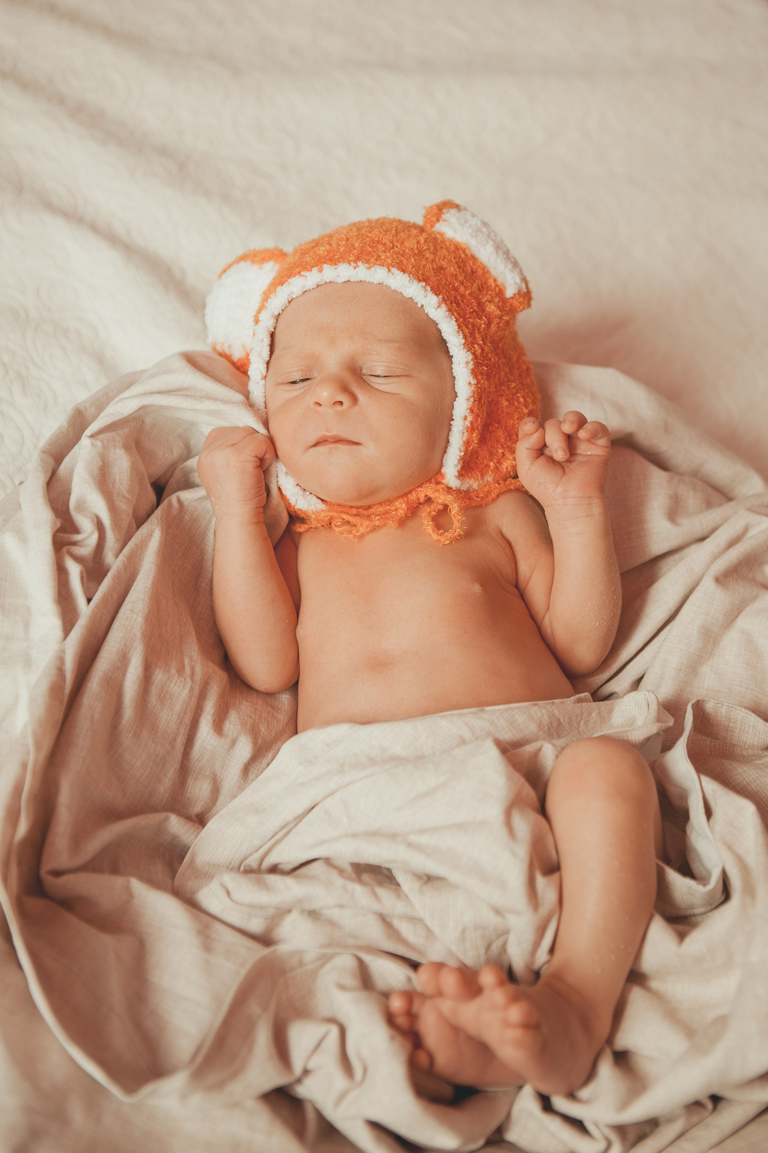 Гордей. Фотограф Ольга Ефремова