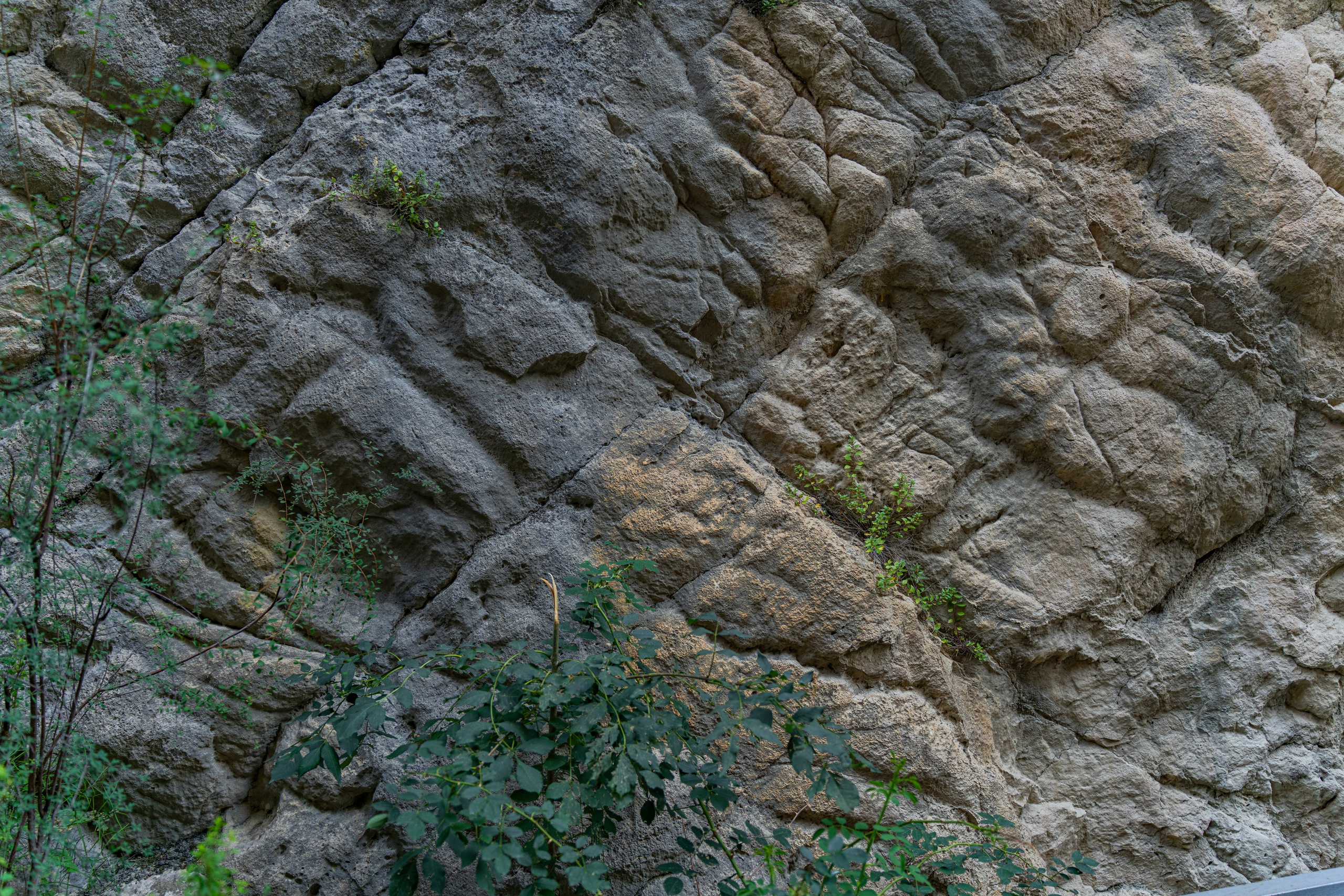 Дагестан. Фотограф в Москве. Шахабудин
