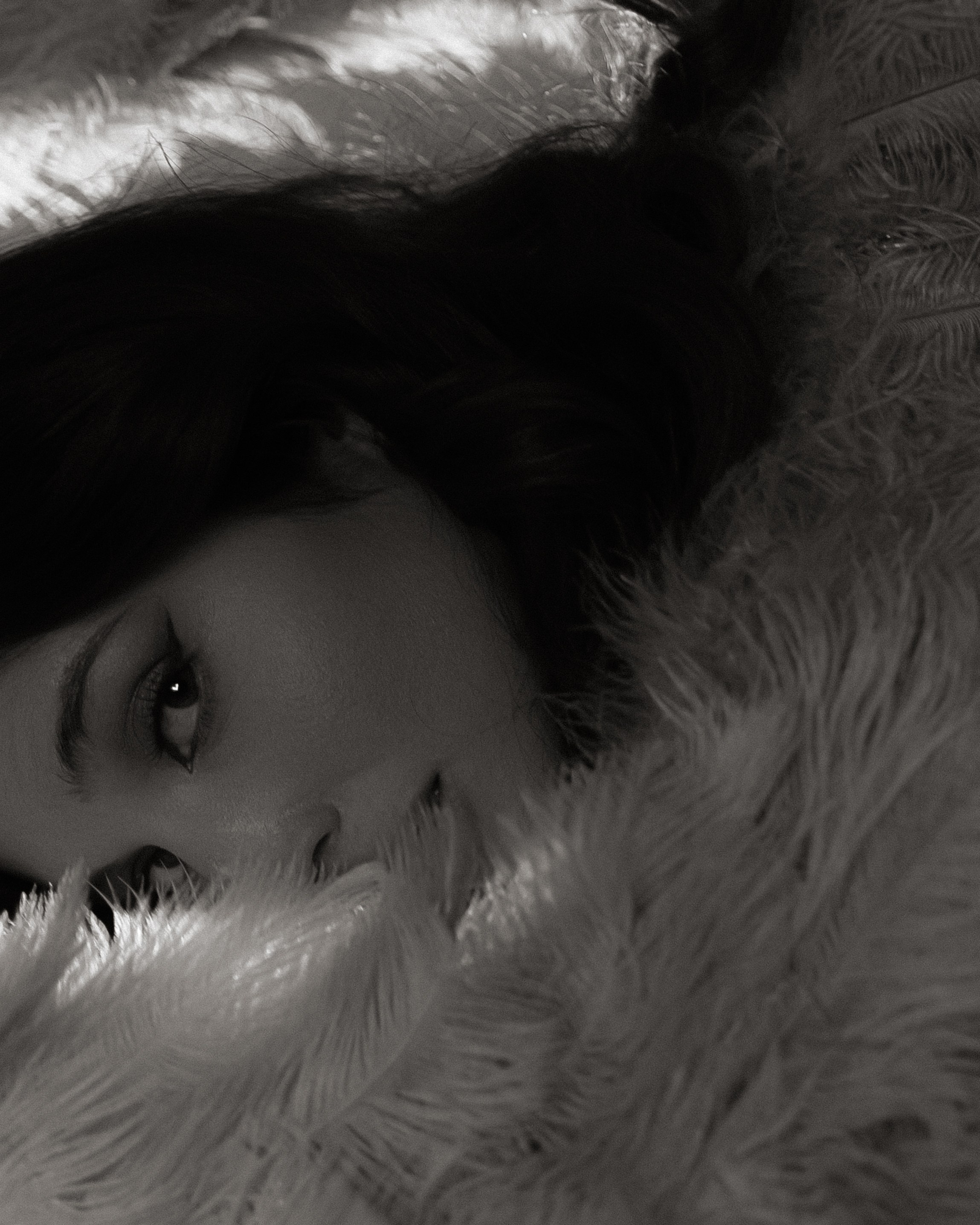 Камелия. DARYA.BELKINA