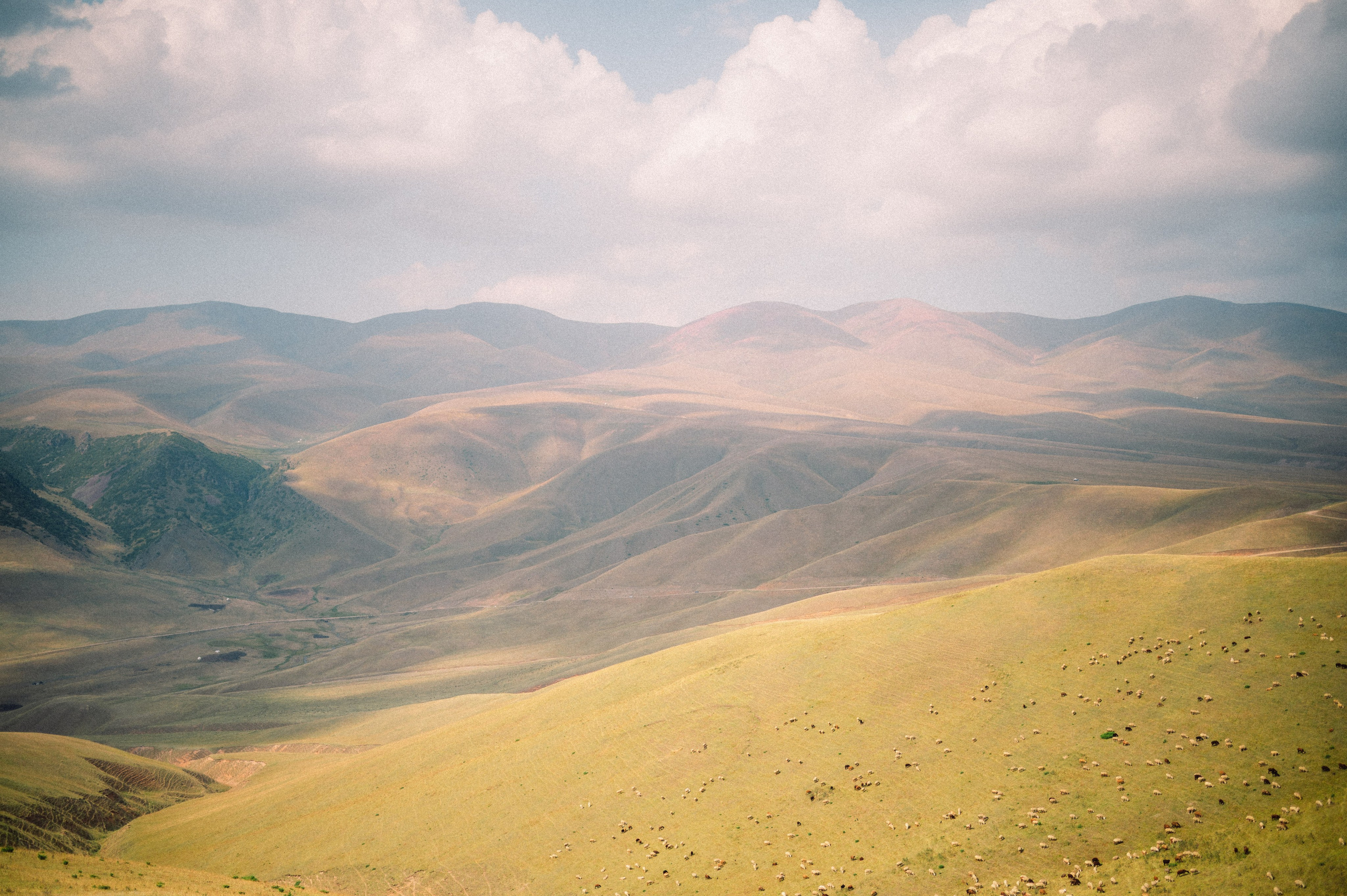 Плато Ассы: июль 2025. Фотограф в Алматы — Дарья Фёдорова