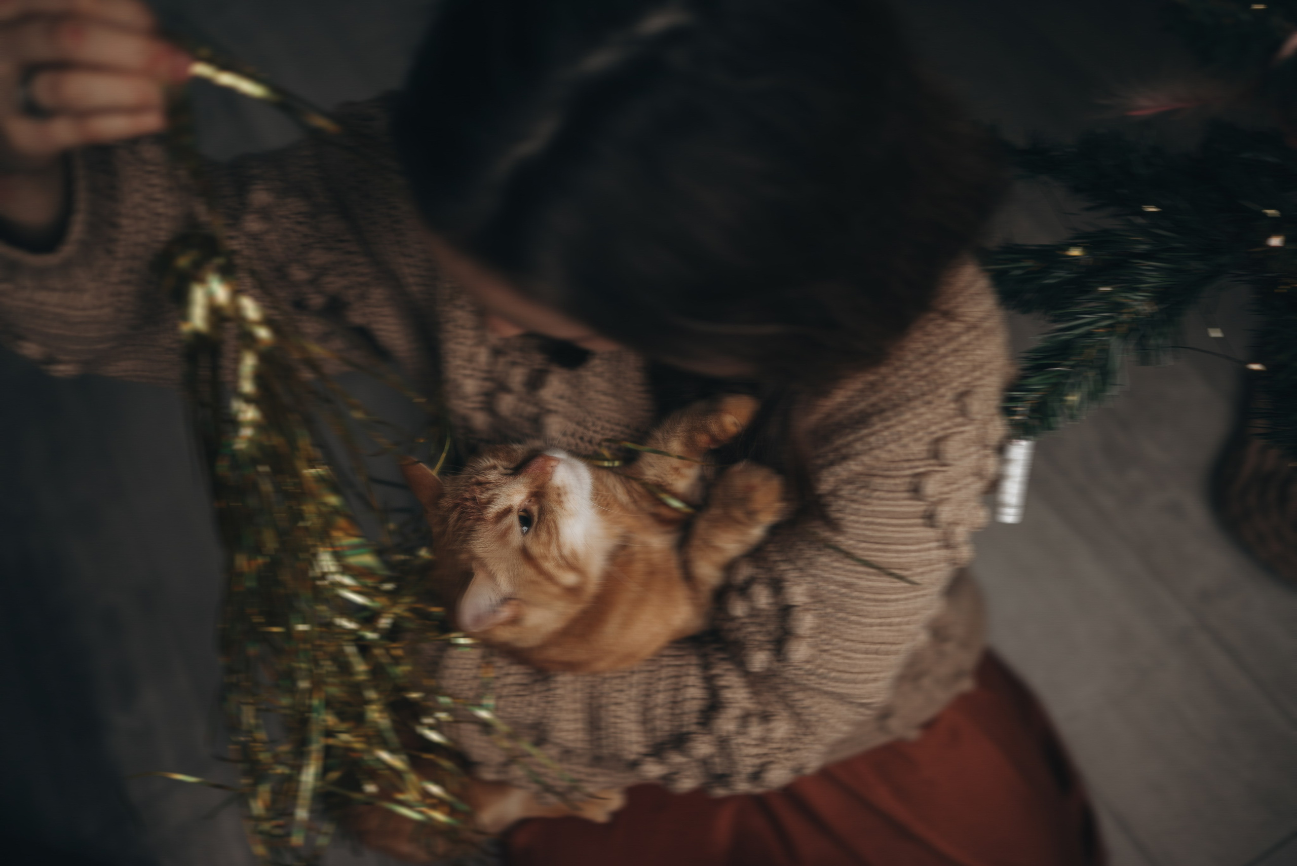 Домашняя фотосессия. Семейный фотограф Ростов-на-Дону Татьяна Соколова