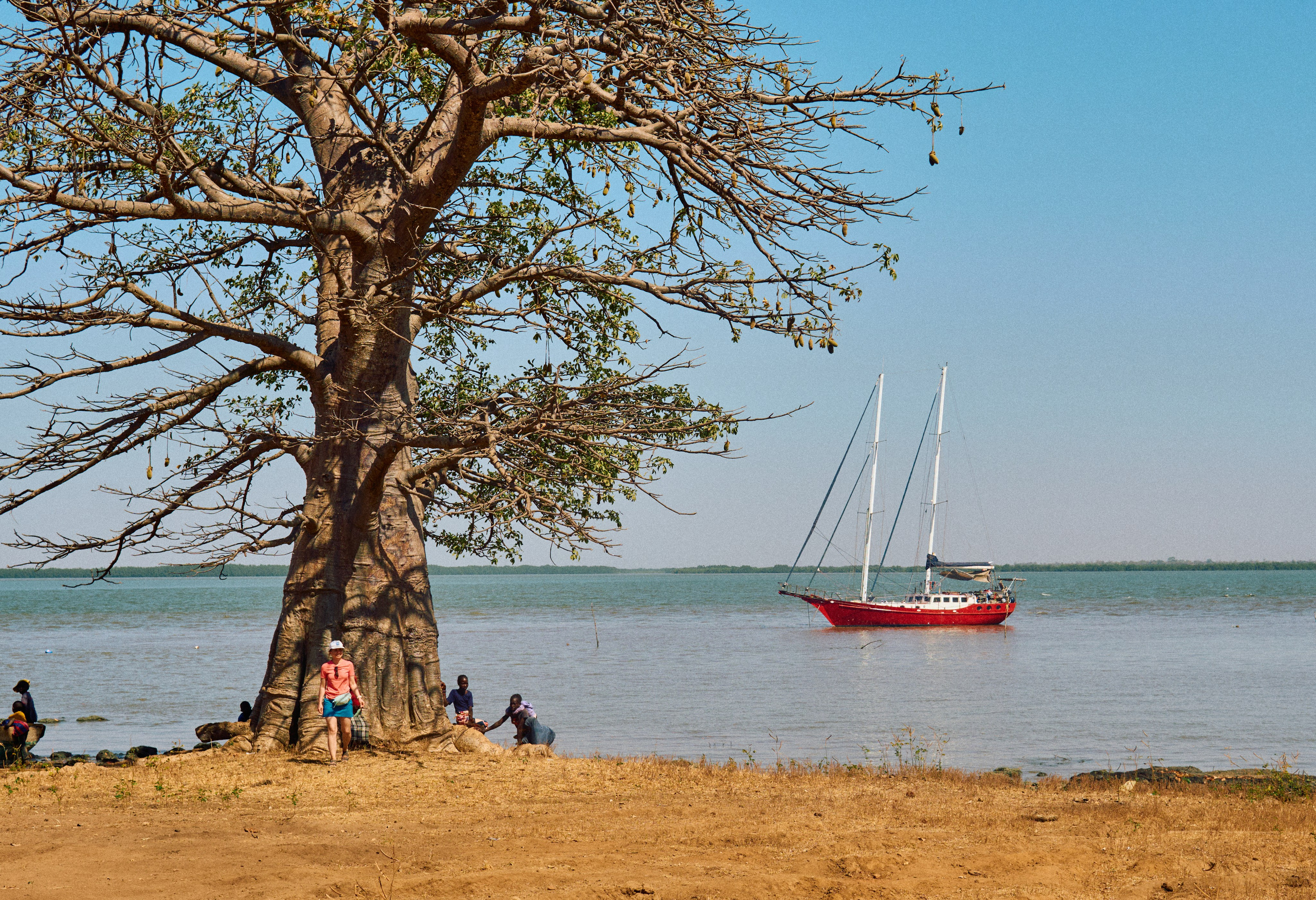 Gambia River. See the moment and catche. commercial and reportage