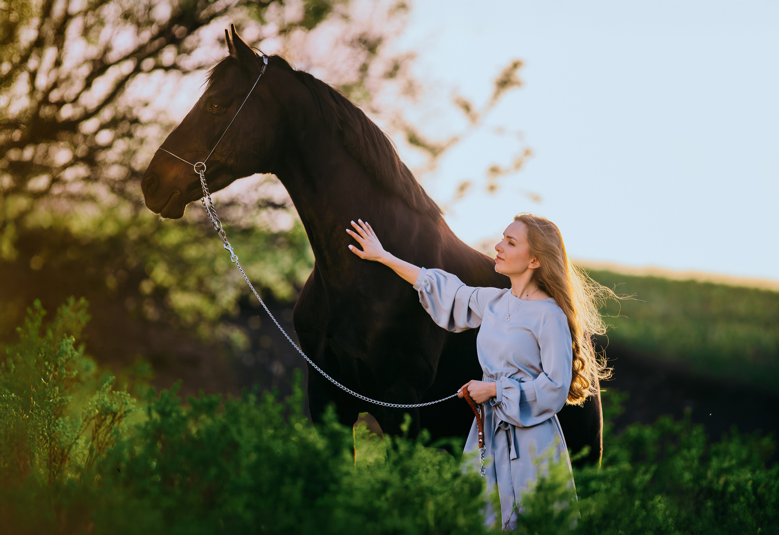 Вероника и Брэй. Фотограф-анималист Ксендзова Кристина
