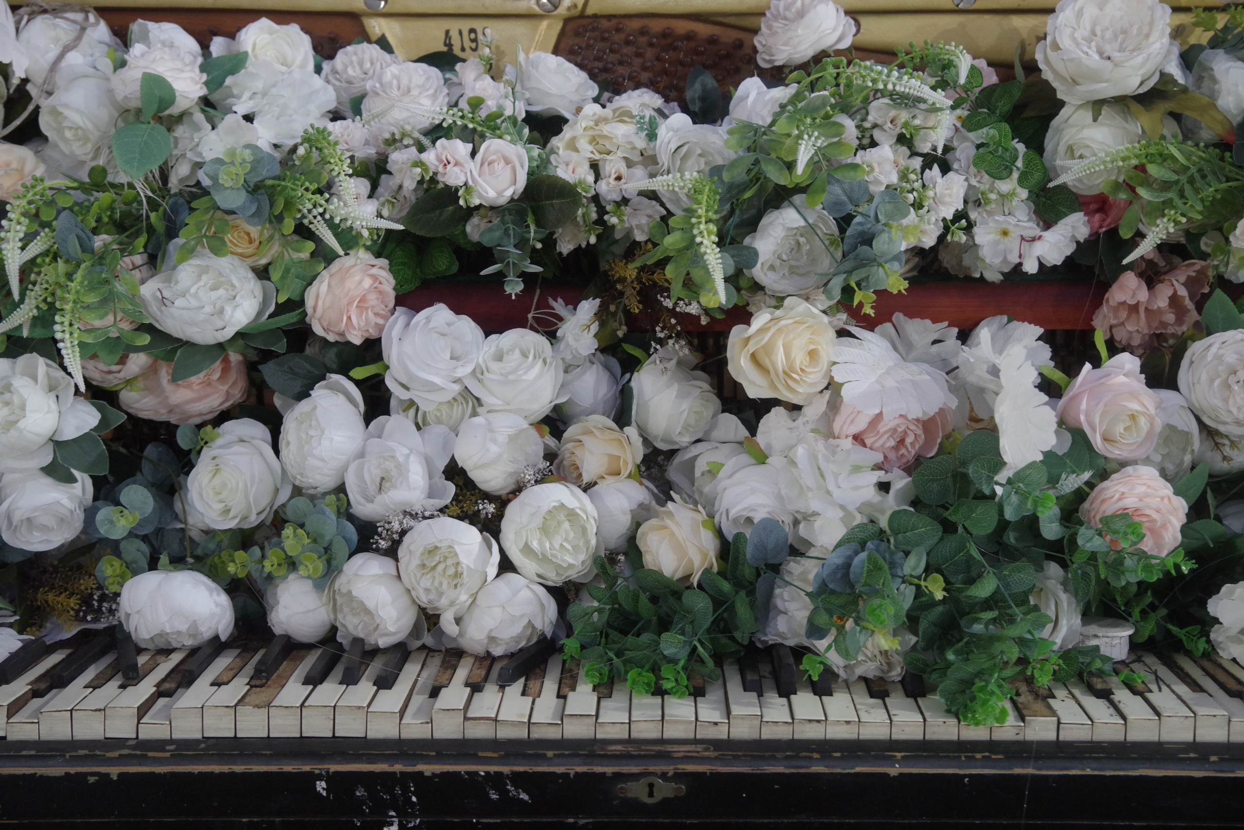 Гендерная вечеринка в Кутаиси. Портретный фотограф Денис Милютин