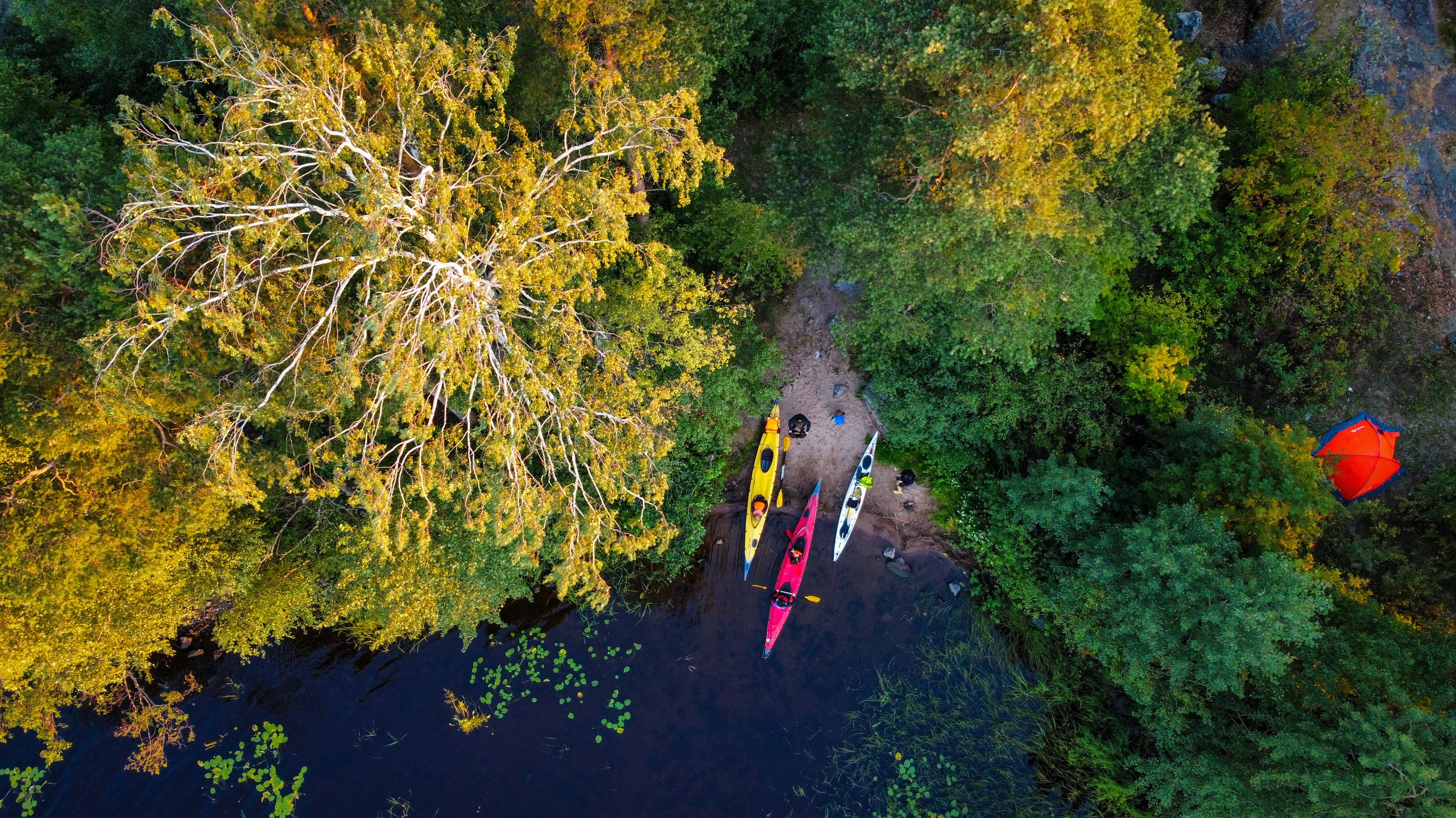 Аэросъемка. Семейный и детский фотограф в Санкт-Петербурге Антон Алексеев