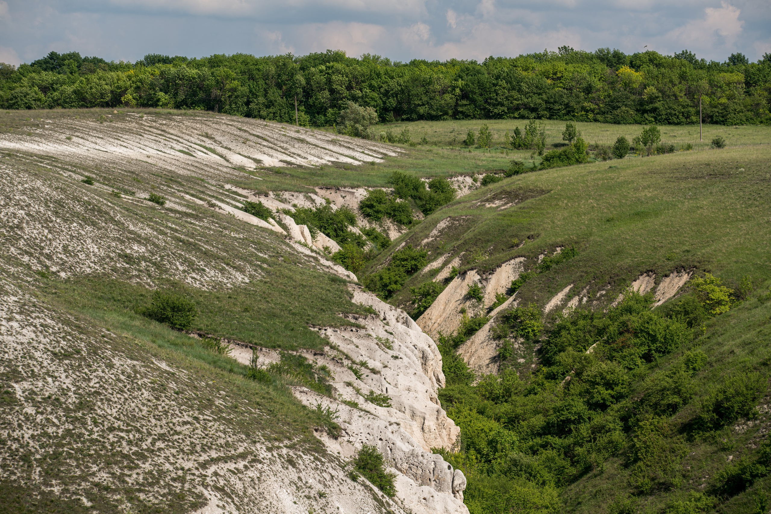 Белогорье, Воронежская область 2017. Фотограф Василий Буланов