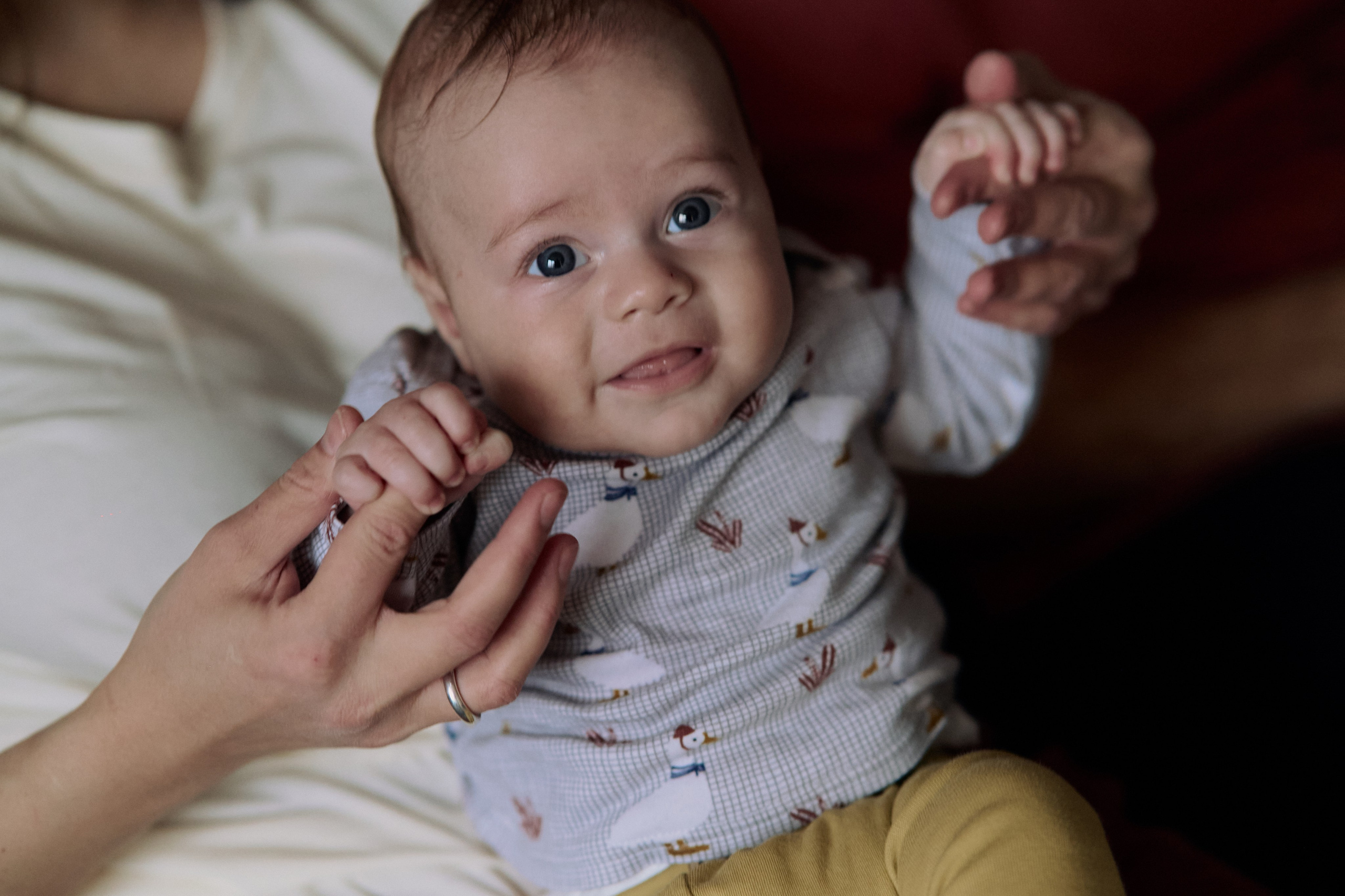 Эмир, Диана, Леон и Амин дома. Семейный и свадебный lifestyle-фотограф в Москве Мария Петрова