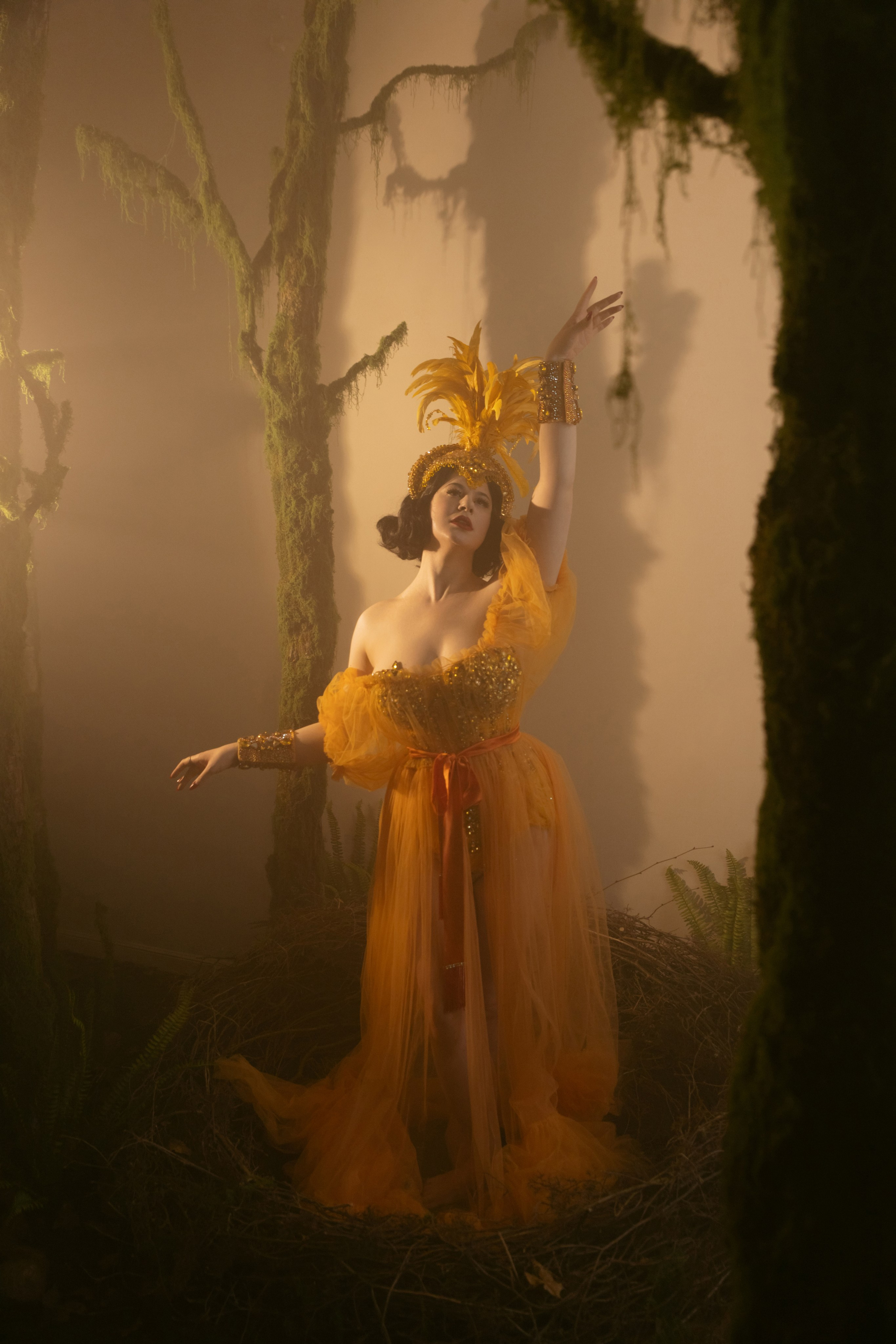 Бурлеск. Концертный и бурлеск фотограф Москва