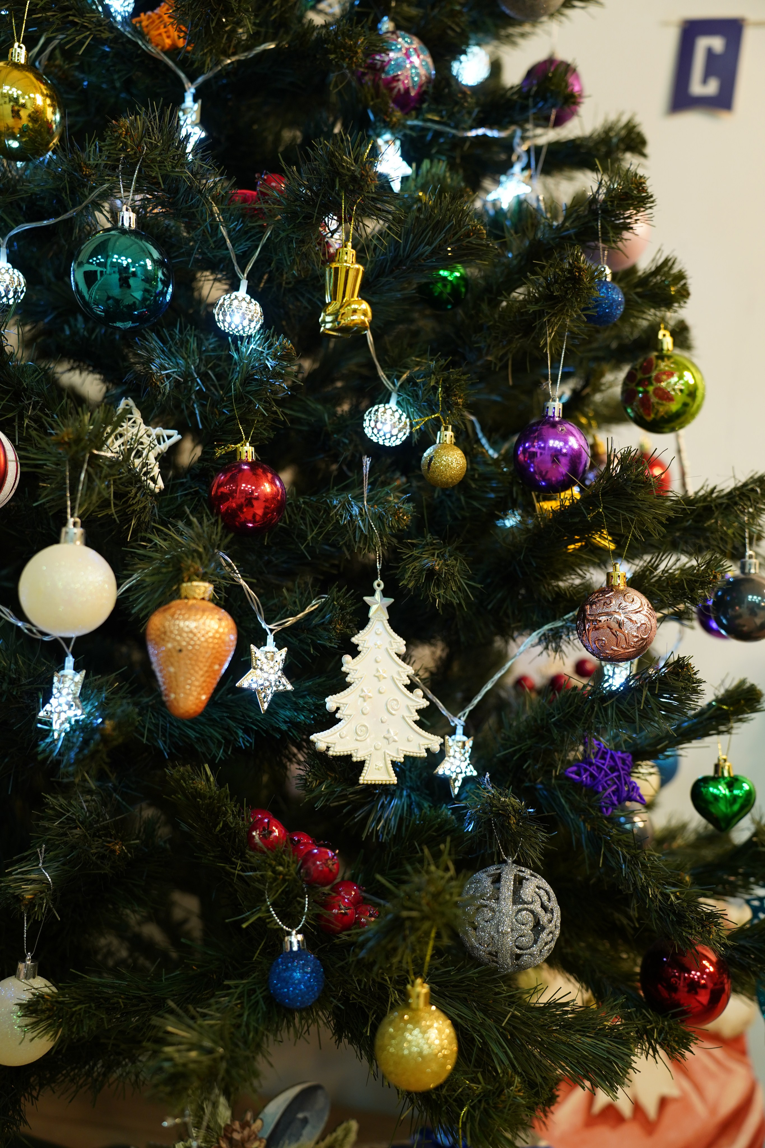 Студия 100 квадратов. Фотограф г. Хабаровск. Семейные и индивидуальные съёмки