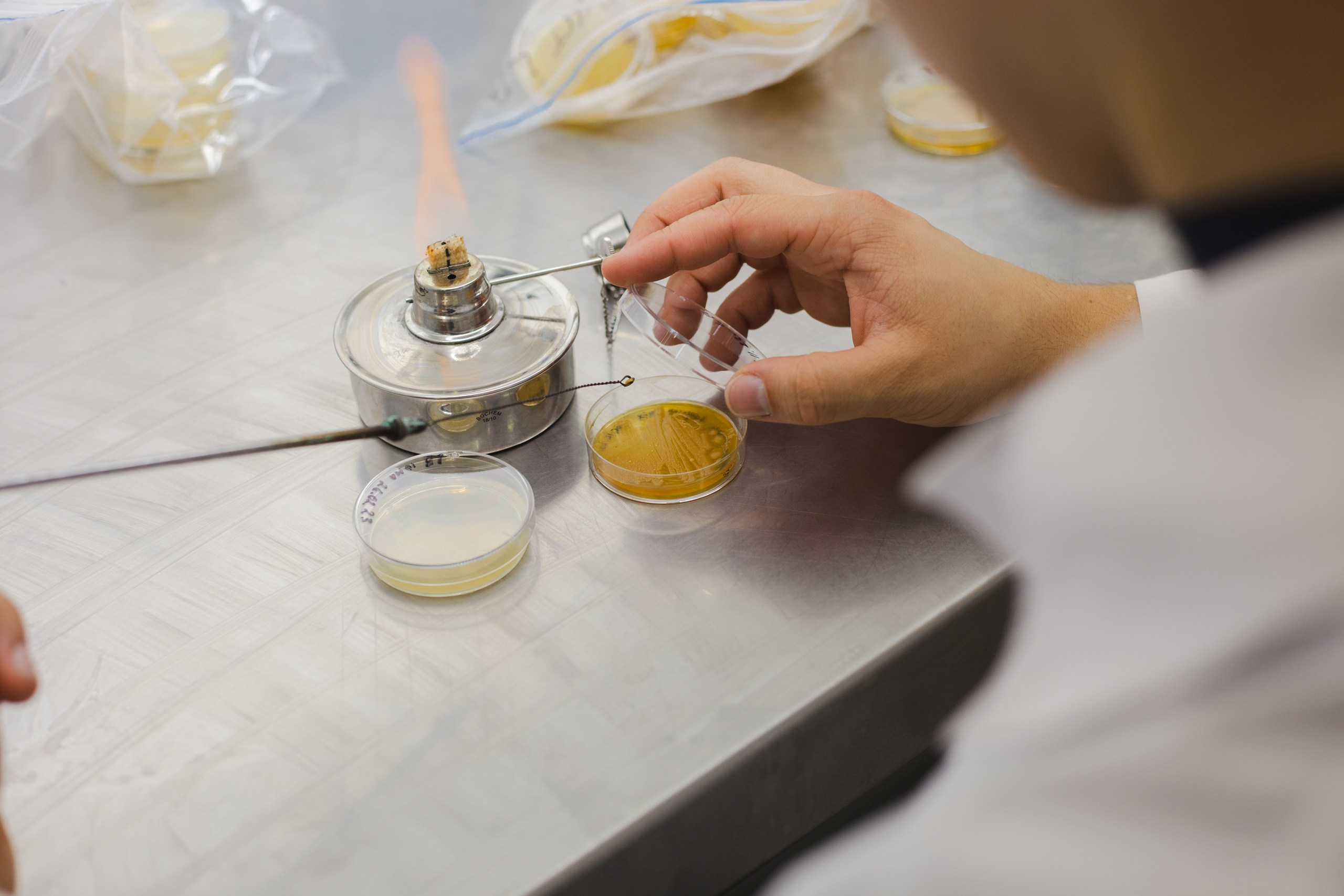 Репортаж Наука. Фотограф в Ярославле Ольга Пыненкова