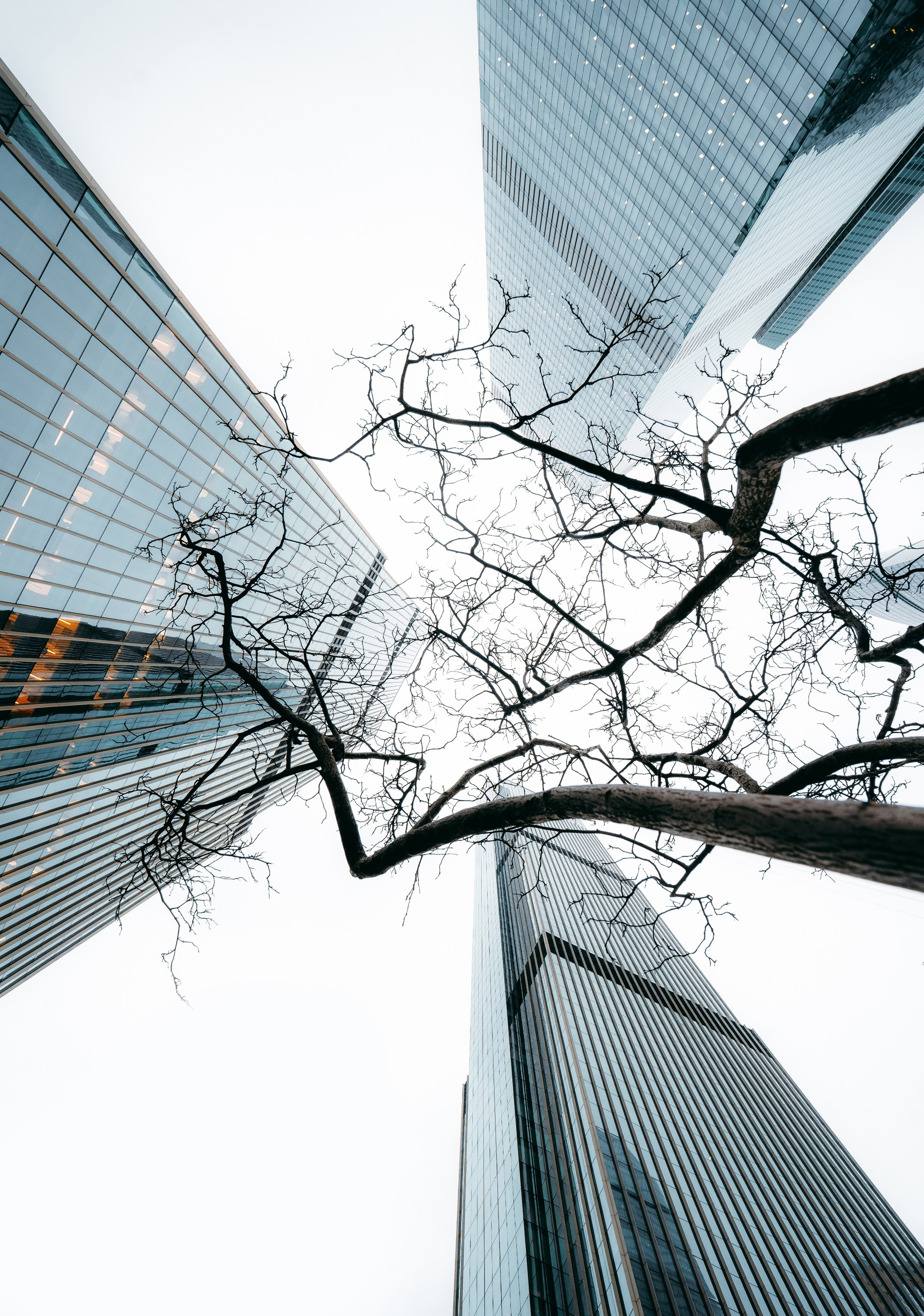 УЛИЧНАЯ ФОТОГРАФИЯ. Эд Тихонов. Городской фотограф