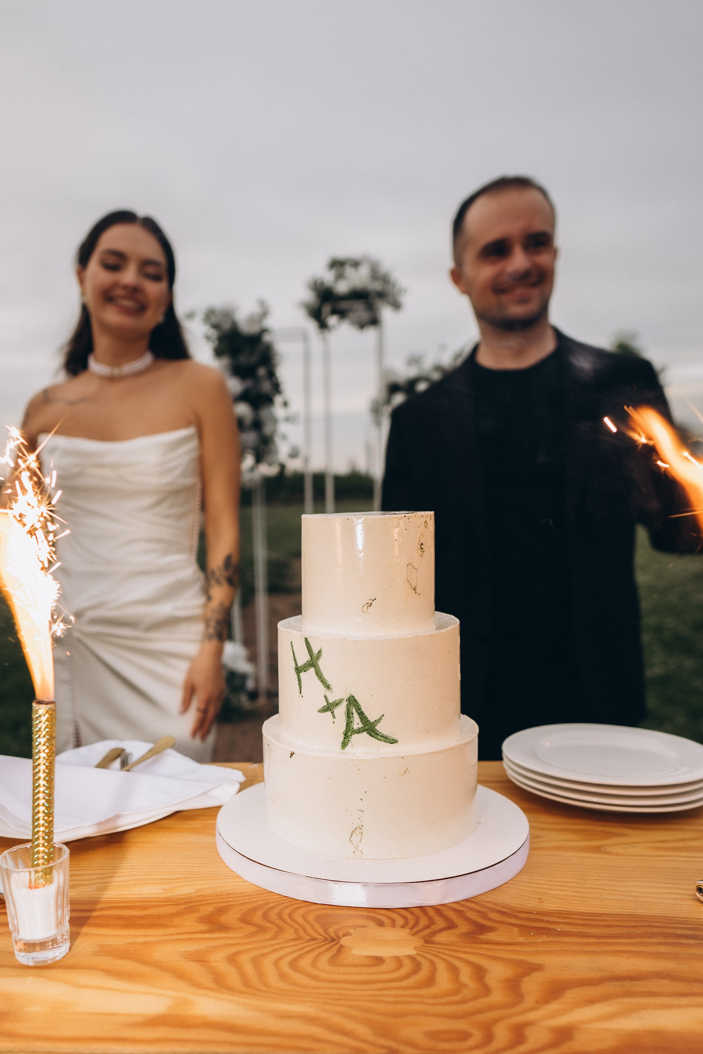 Выездная регистрация+банкет. Фотограф ПИТЕР СПБ Надежда Баранова