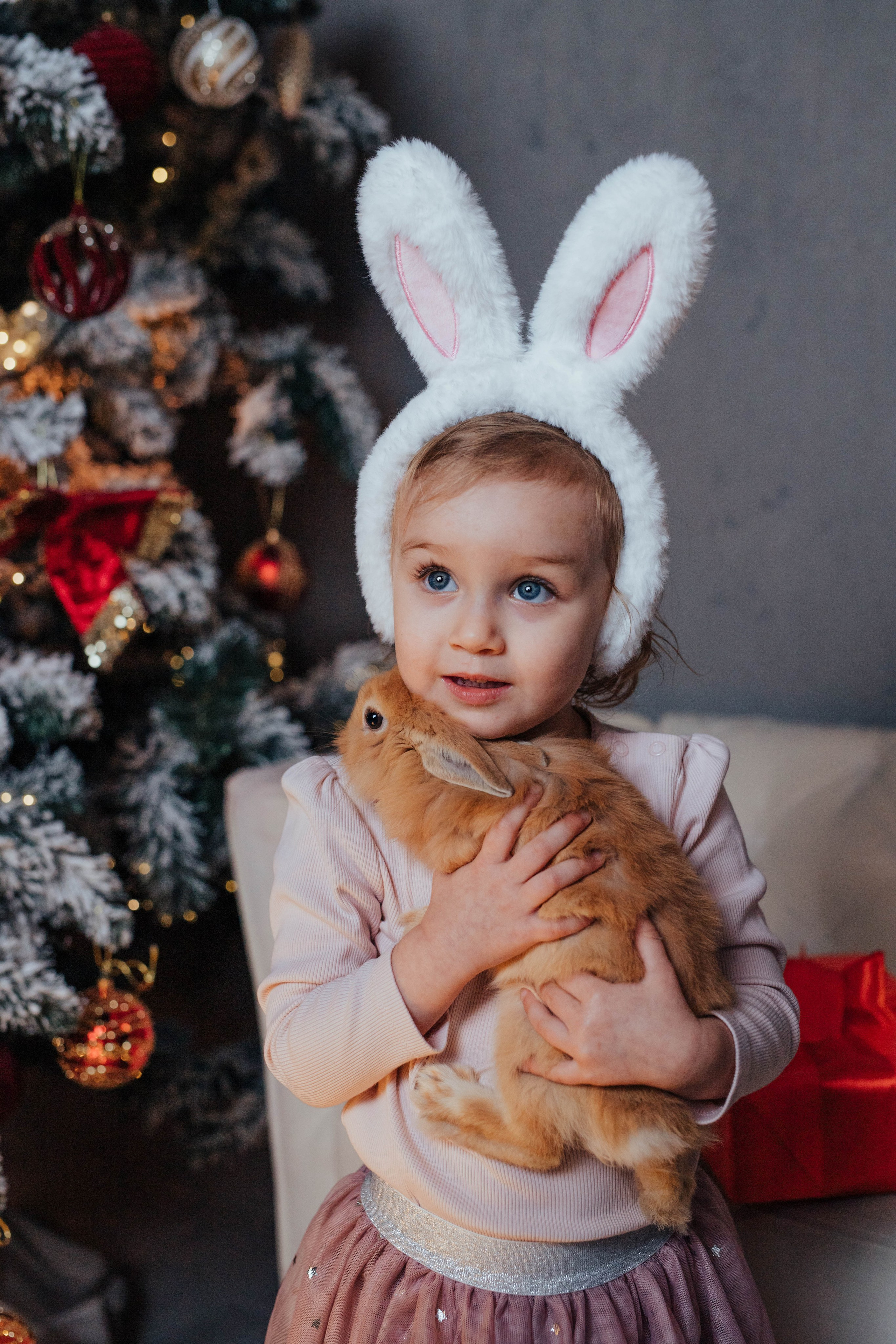 Новогодние фотосесии. Семейный фотограф в Обнинске Вера Весенняя