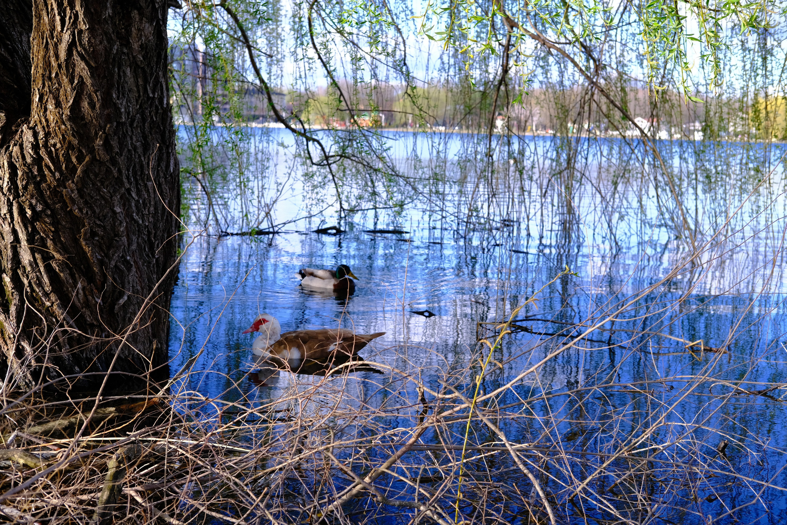Пейзажная фотография