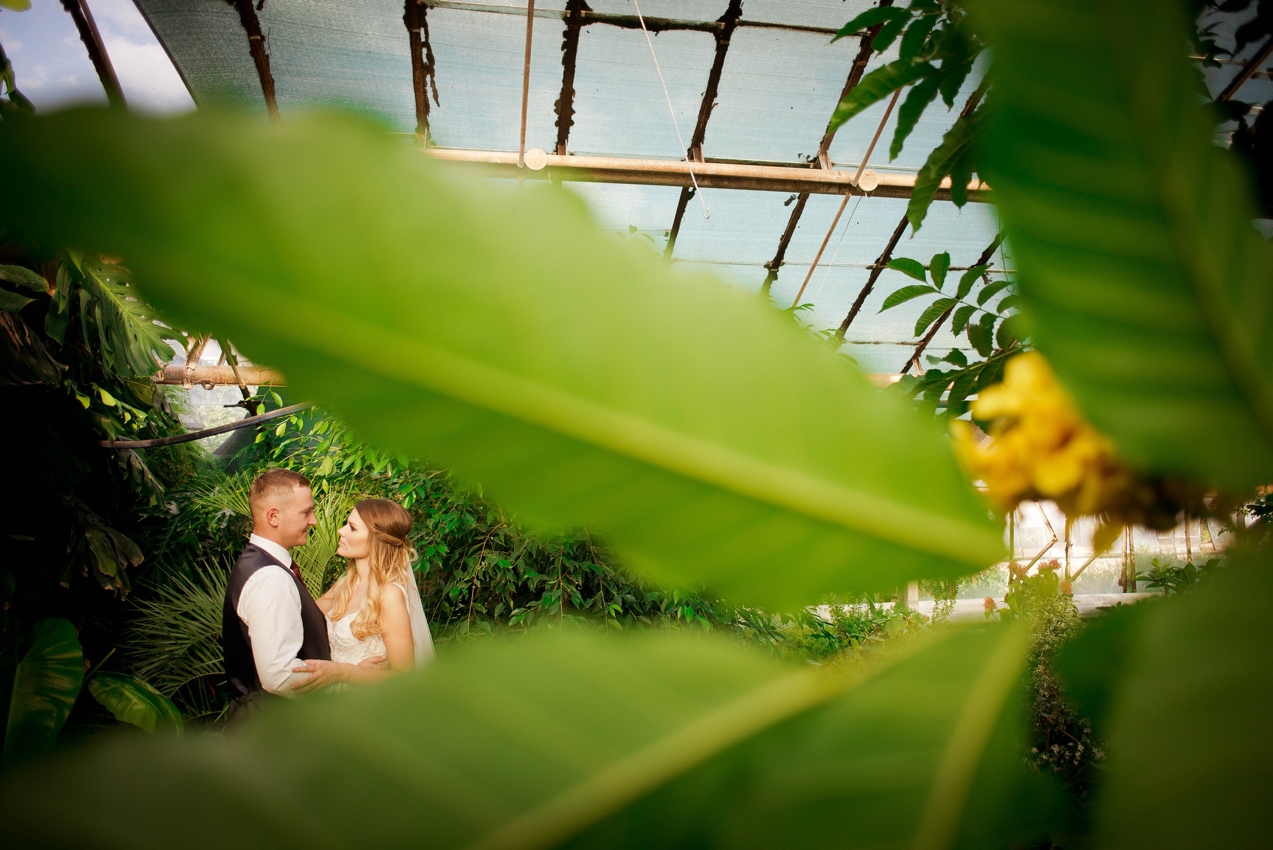 Дмитрий и Наталья. Свадебный и семейный фотограф Яна Стражева. Волгоград, Москва
