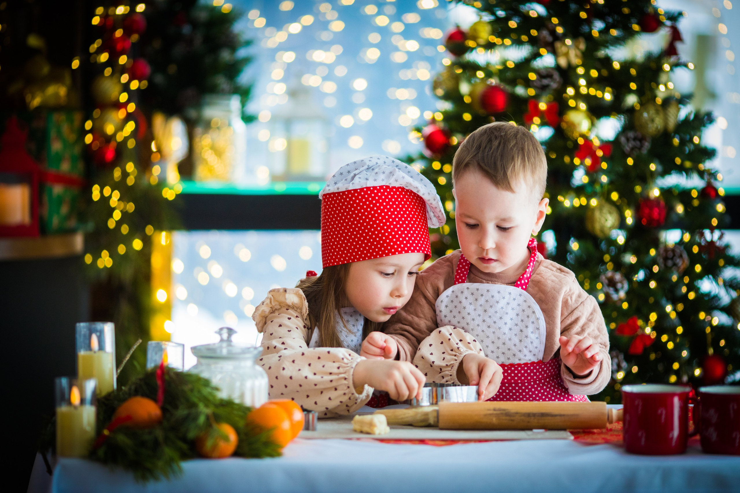 Фотодача. Фотограф Евгения Васильева в г. Чебоксары