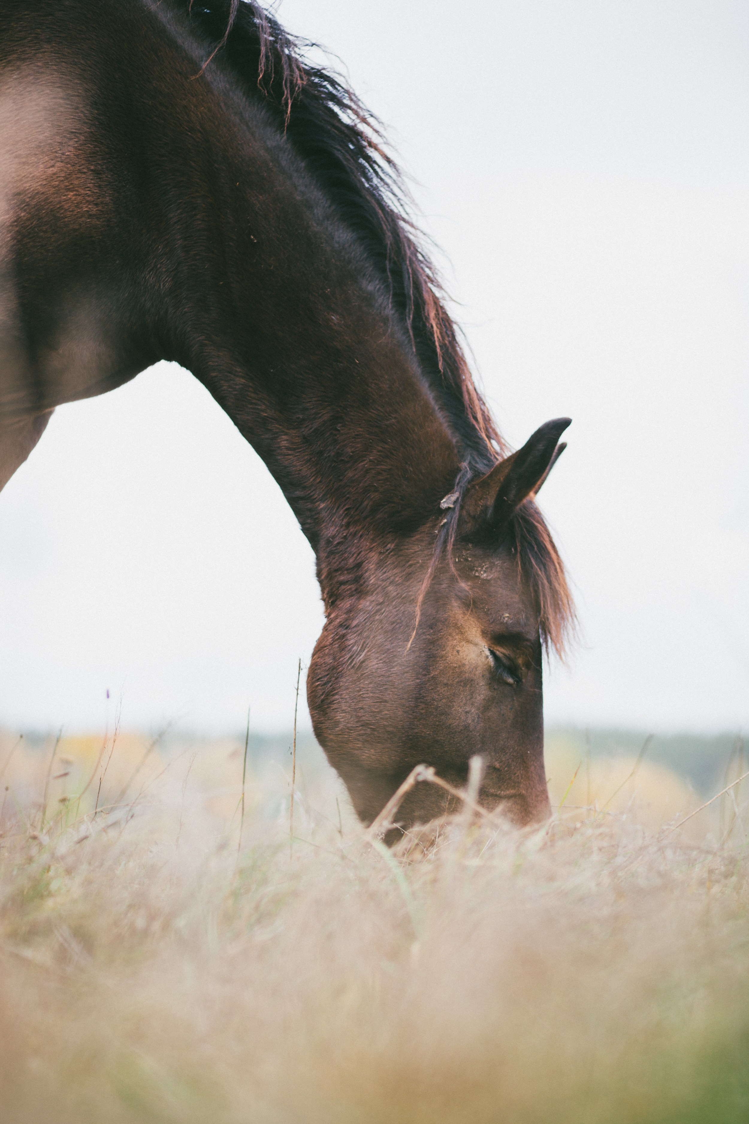 PROJECTS. Nastya Marchenko — based in Moscow Art and Documentary photographer. Works with memory, revelation, vulnerability & human states worldwide