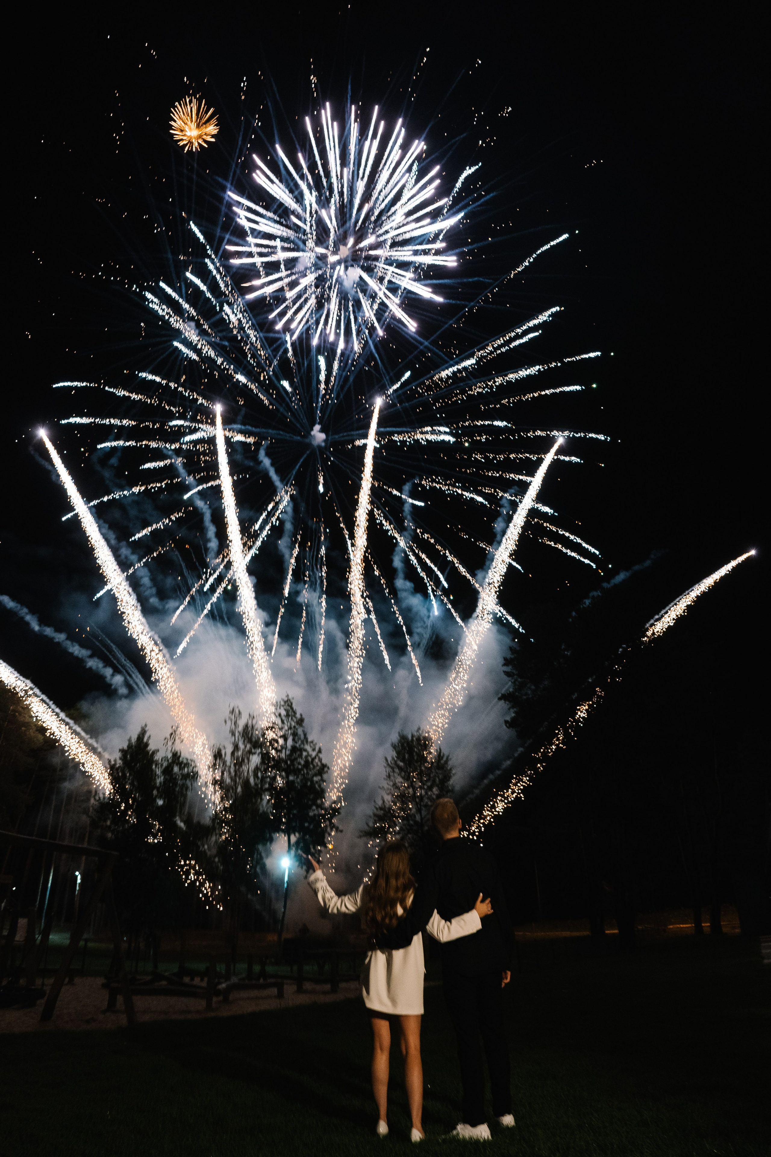 Алена и Владимир. Дмитрий Зайцев свадебный фотограф Тамбов