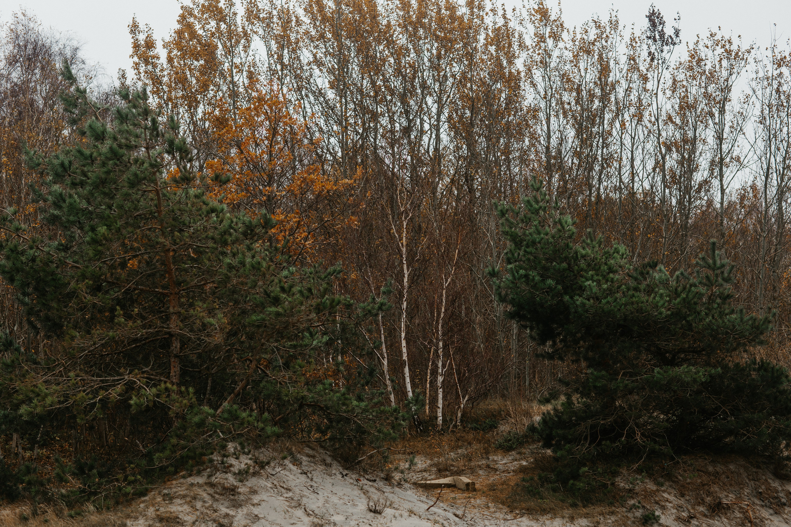 Фотосессия в Балтийске. Свадебный и семейный фотограф/видеограф в Краснодаре Наталья Осинская