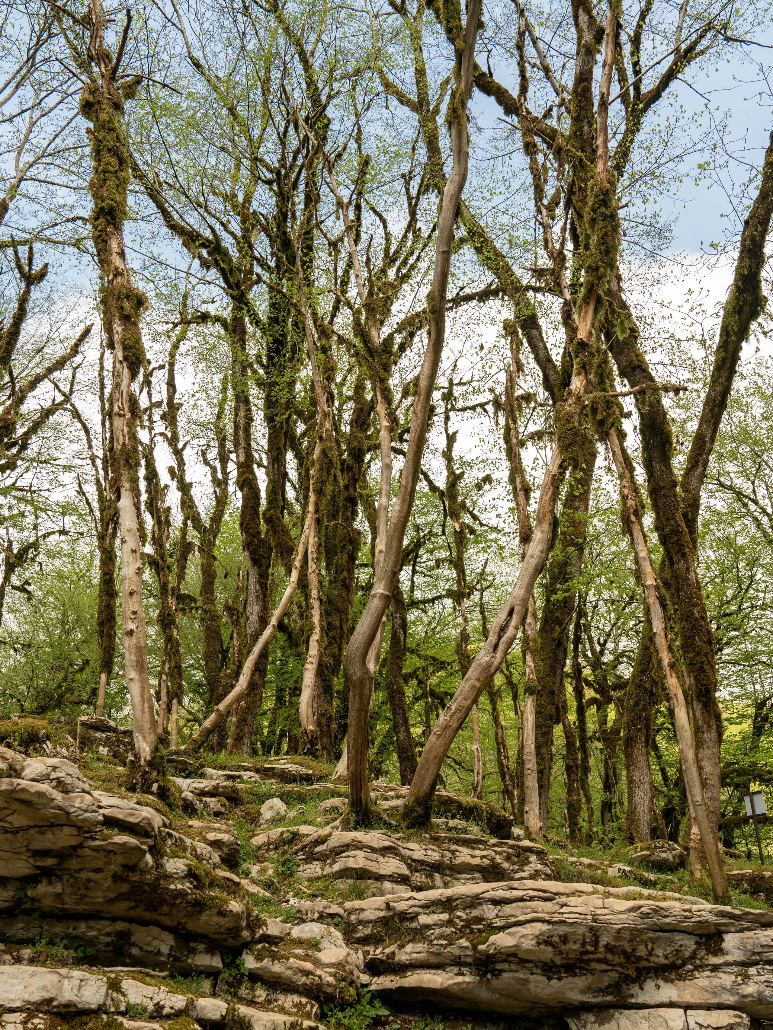 MICE мероприятие — джиппинг на каньон Псахо. Репортажный фотограф в Красной Поляне и Сочи Павлюченко Екатерина