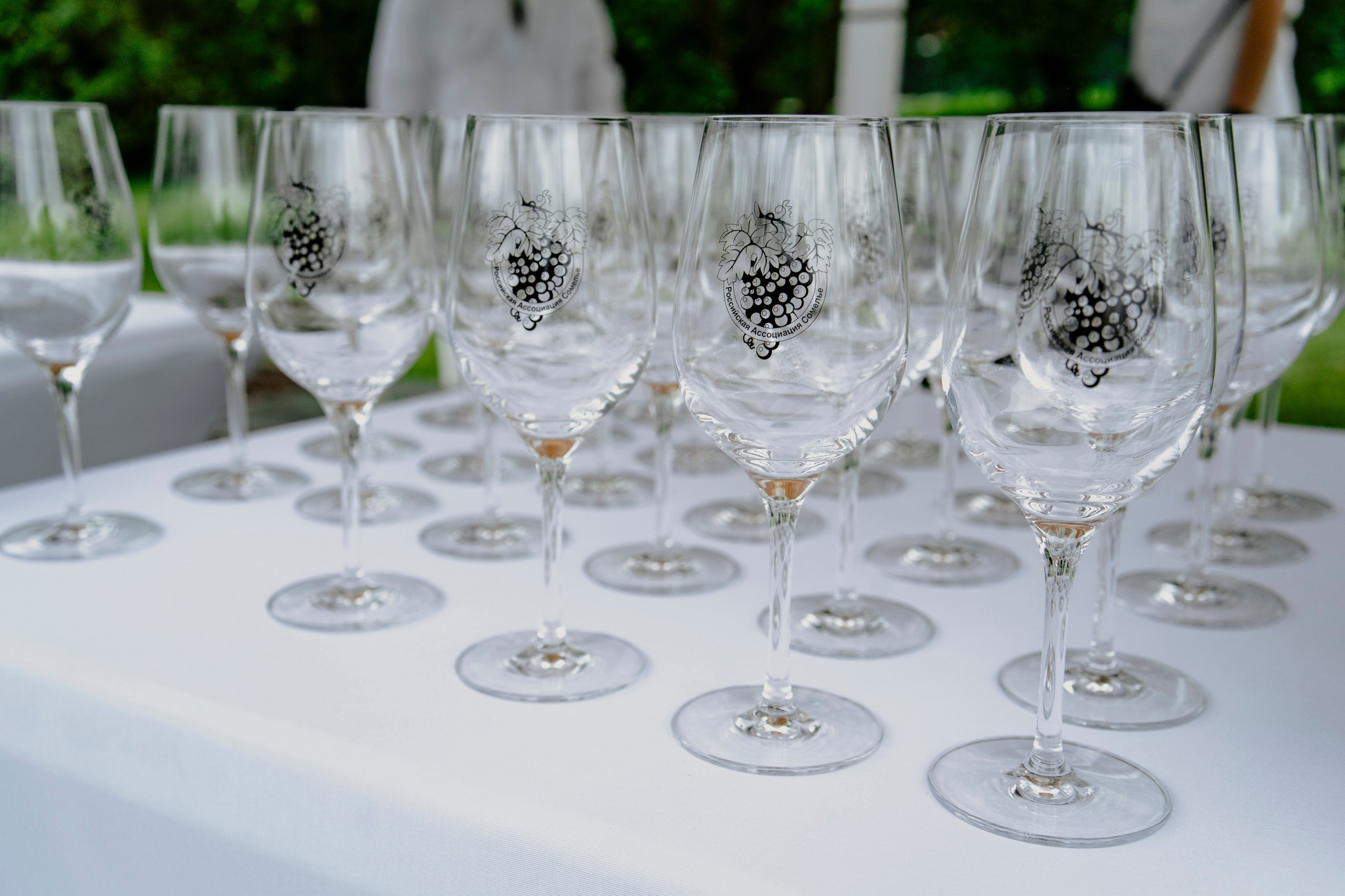 Wine wite paty 2025. Свадебный фотограф Москва