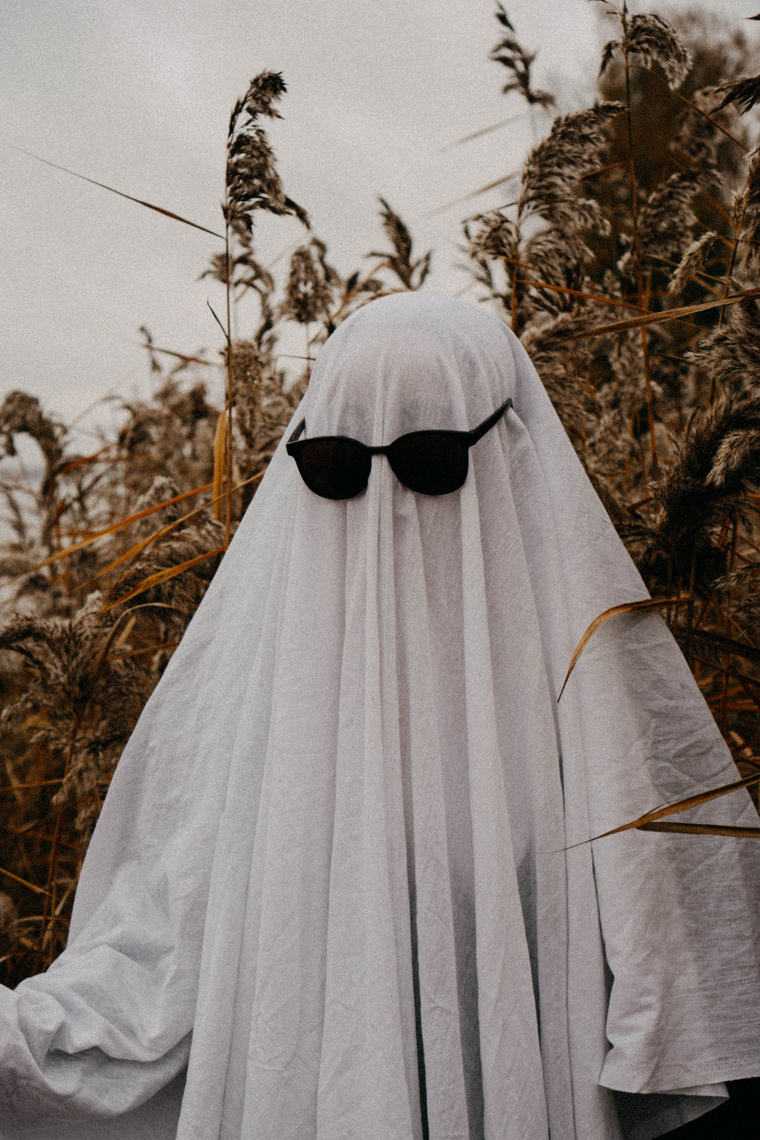 Осеняя. Профессиональный фотограф, Санкт-Петербург — Виктория Богомолова