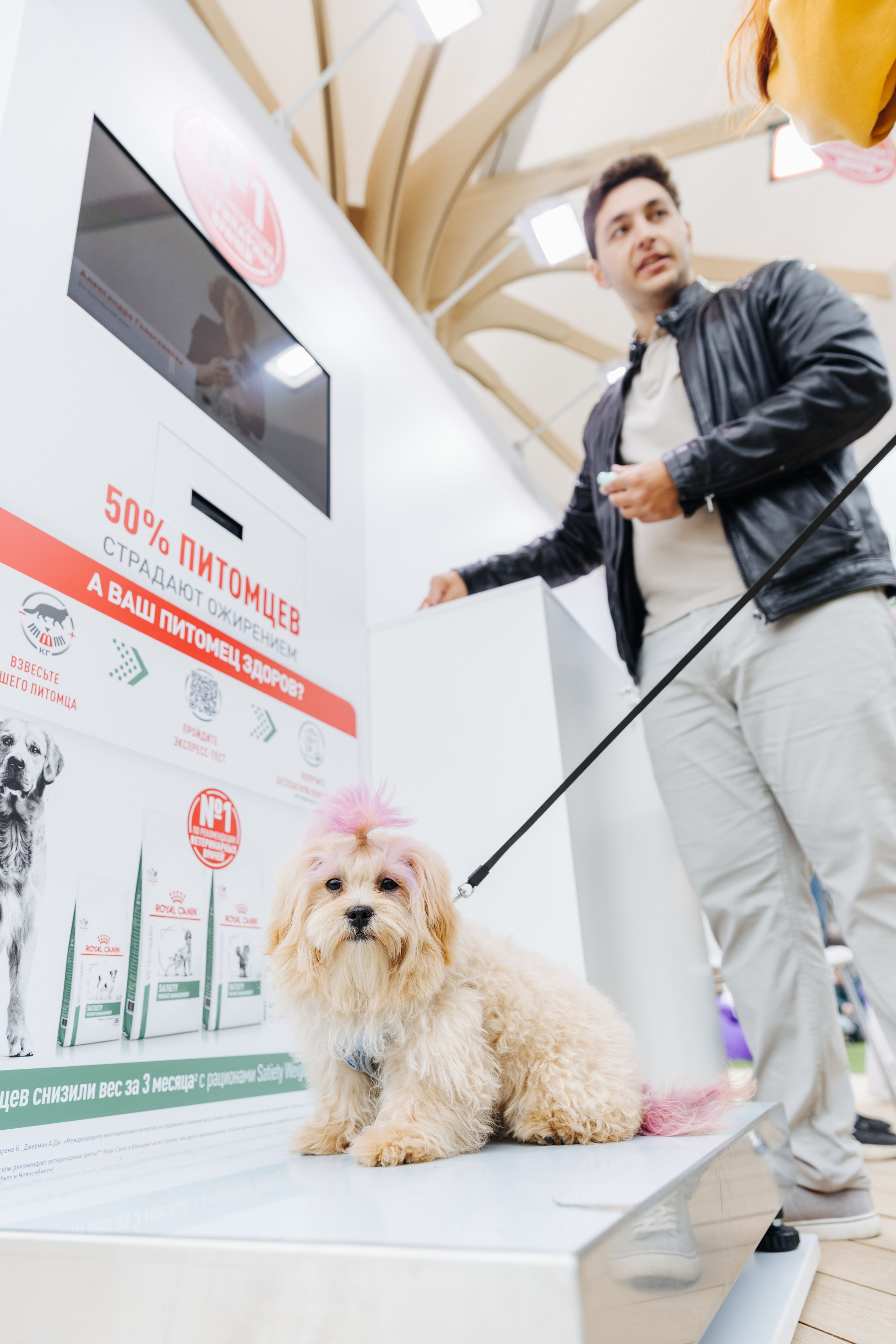 Хвостатый репортаж. Аксана Лисовская фотограф в Москве. Фотографии с характером