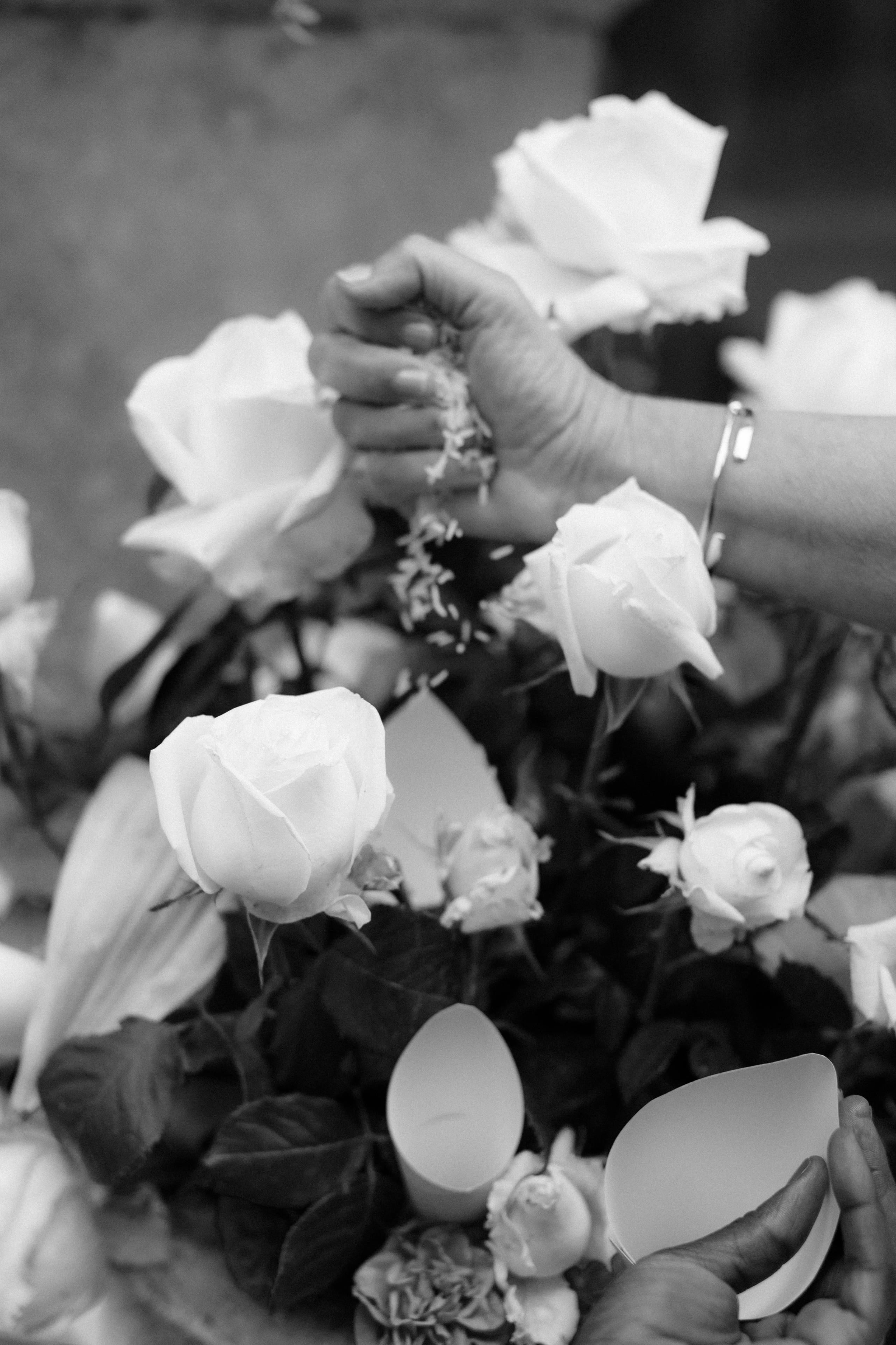 Португальская история. Свадебный и портретный фотограф