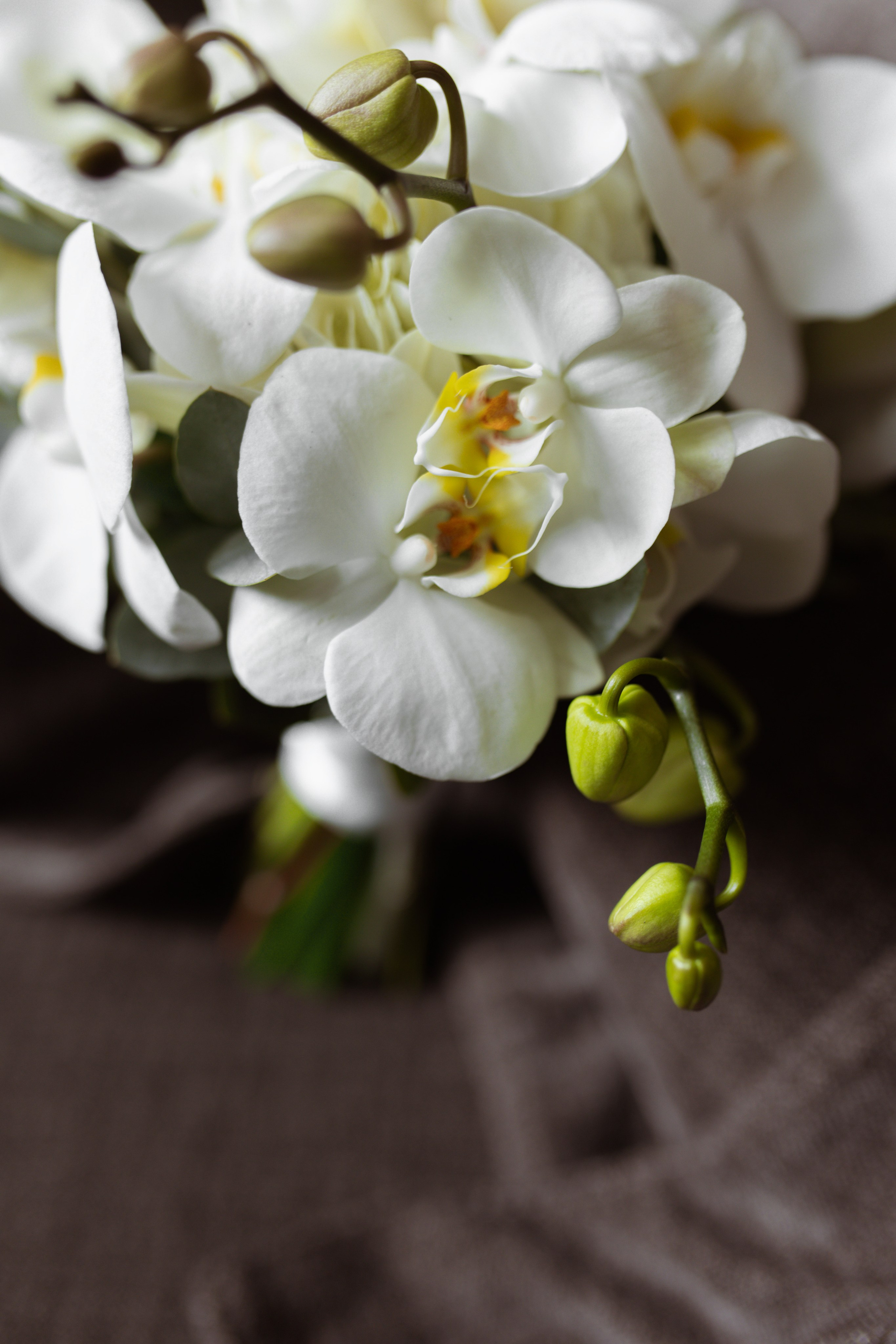 Свадьба для самых близких. Свадебный фотограф Елена Рубцова