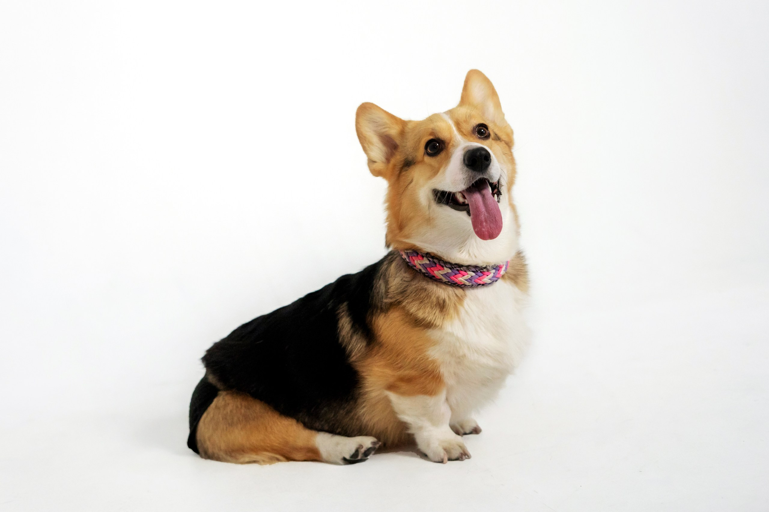 Новогодние съемки в студии. Мила Посвит Фотограф новорожденных в Тобольске