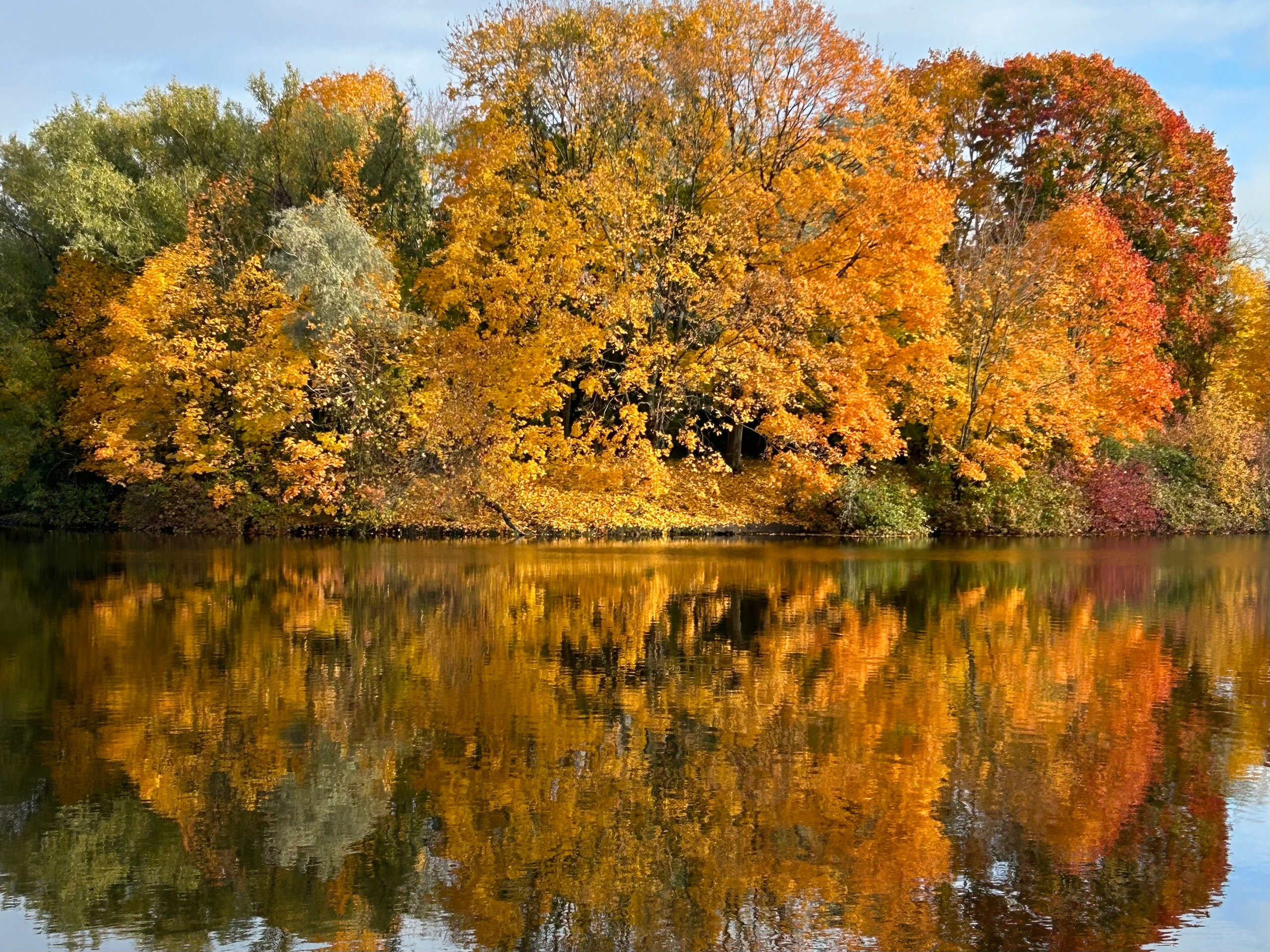 Природа. Фотокружок «Видоискатель» ГБОУ СОШ № 291