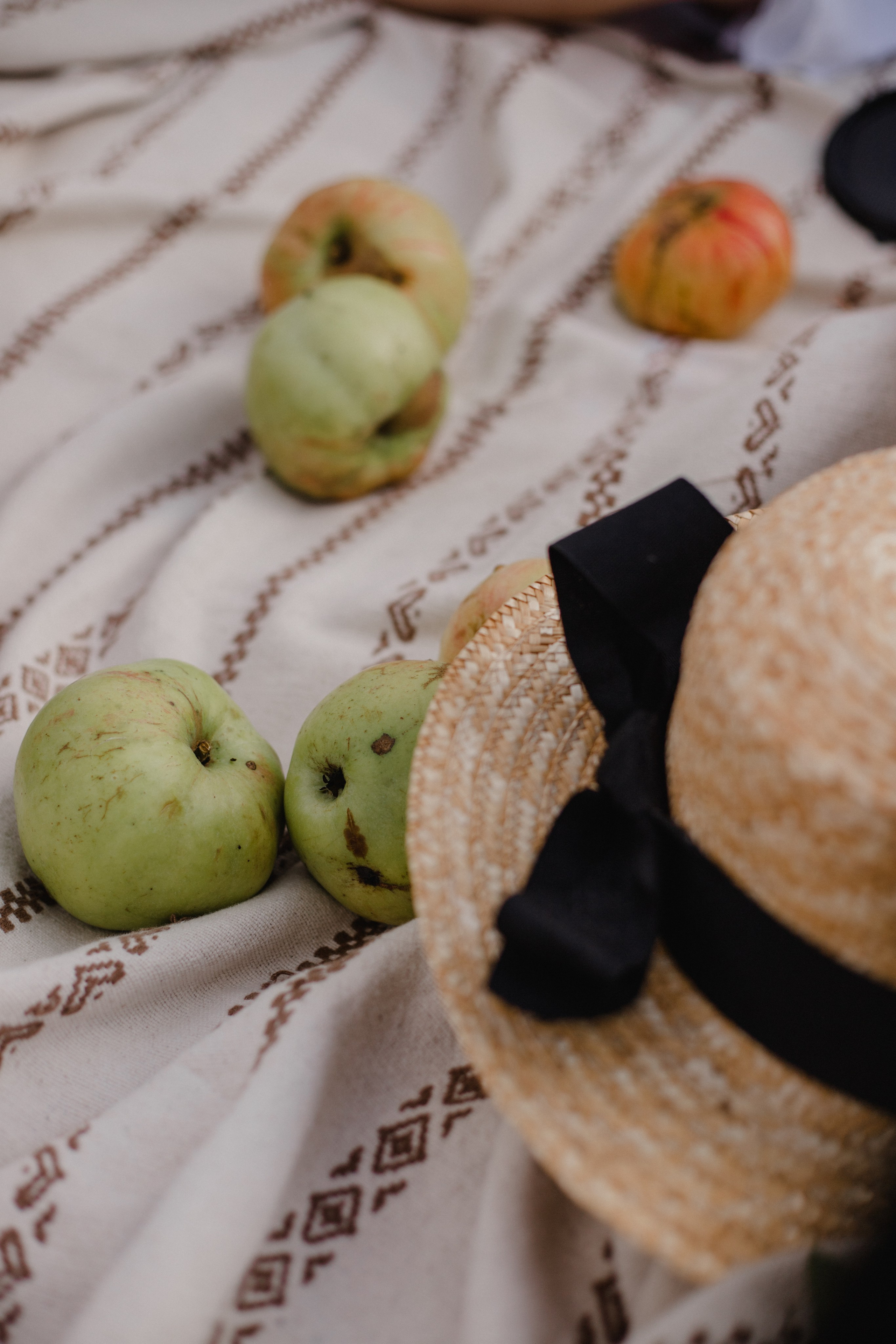 Семейная съёмка в поле