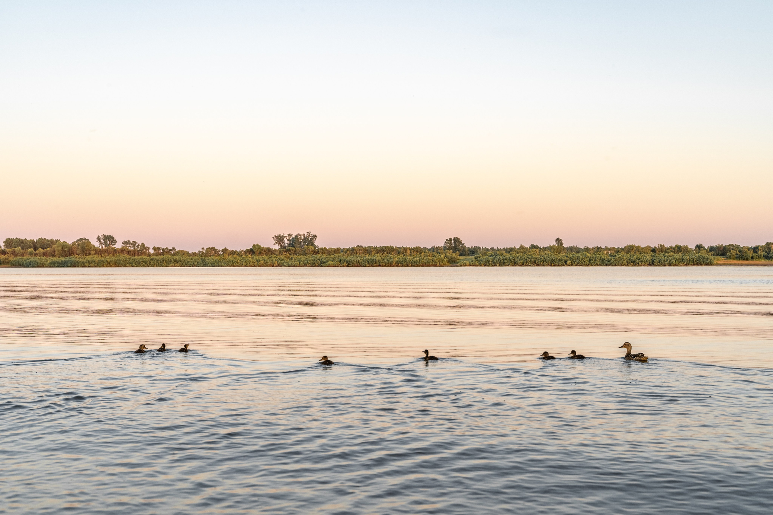 Ваш фотограф Северск | Томск