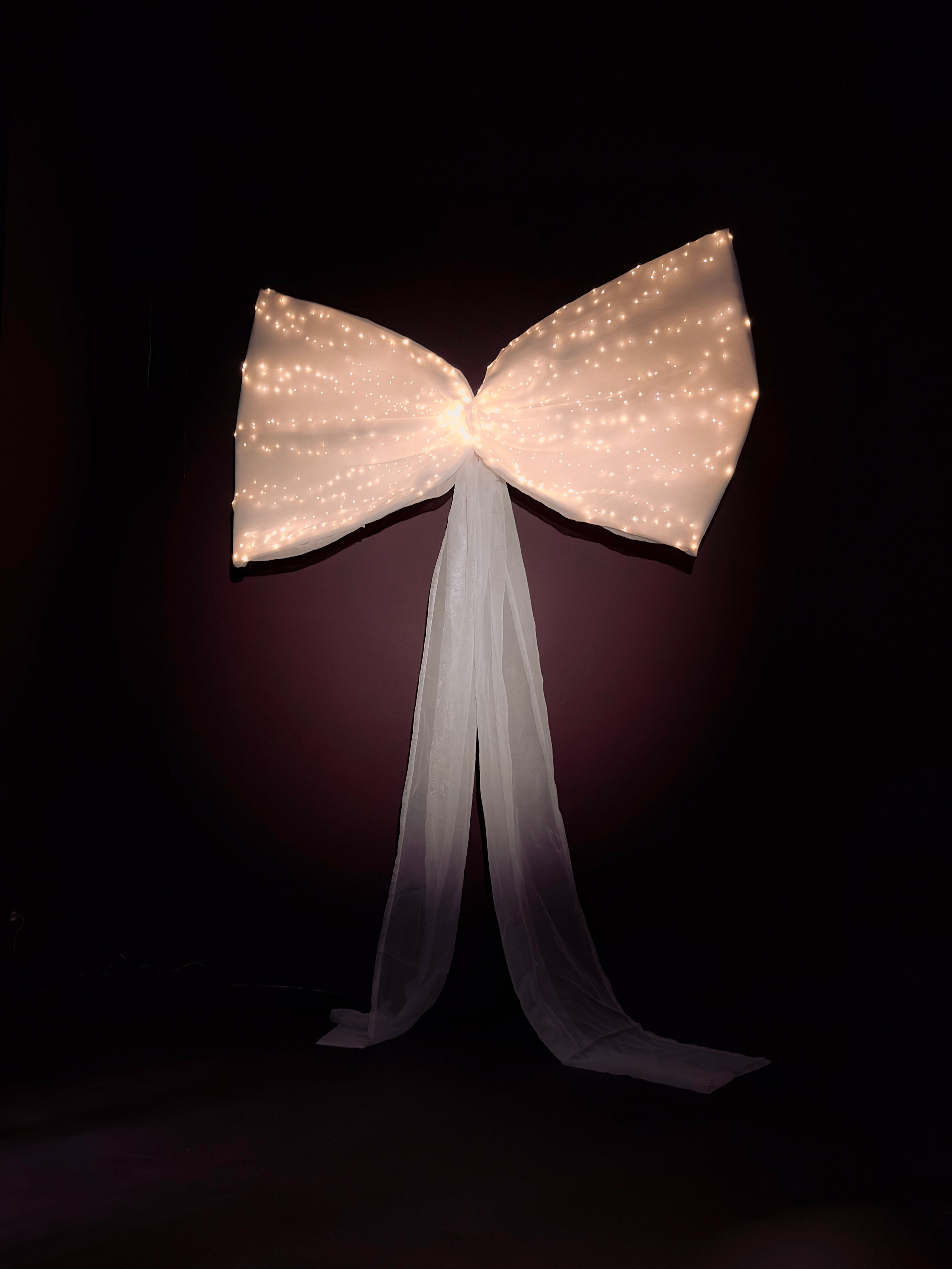 Зал ART * NY 2026. Фотостудия Элис