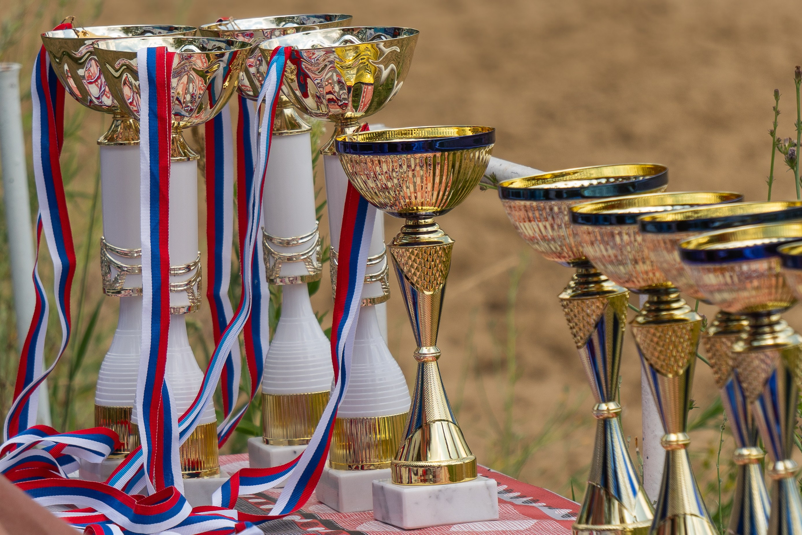 Соревнования по конкуру, Луганск. Фотограф в РФ и ЛНР Юлия Федосеева