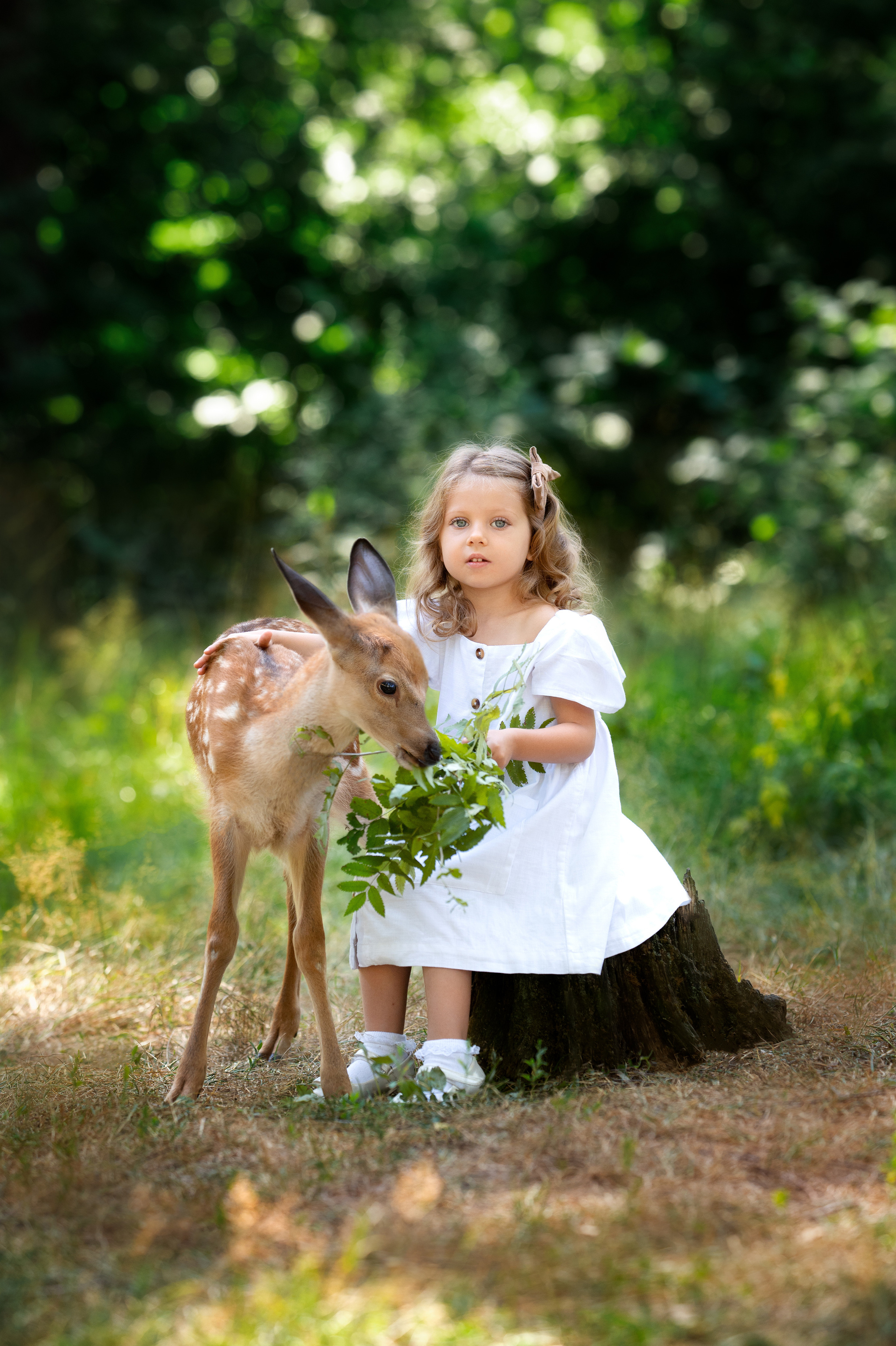 Фото с оленями. Фотограф Елена Сасс Москва