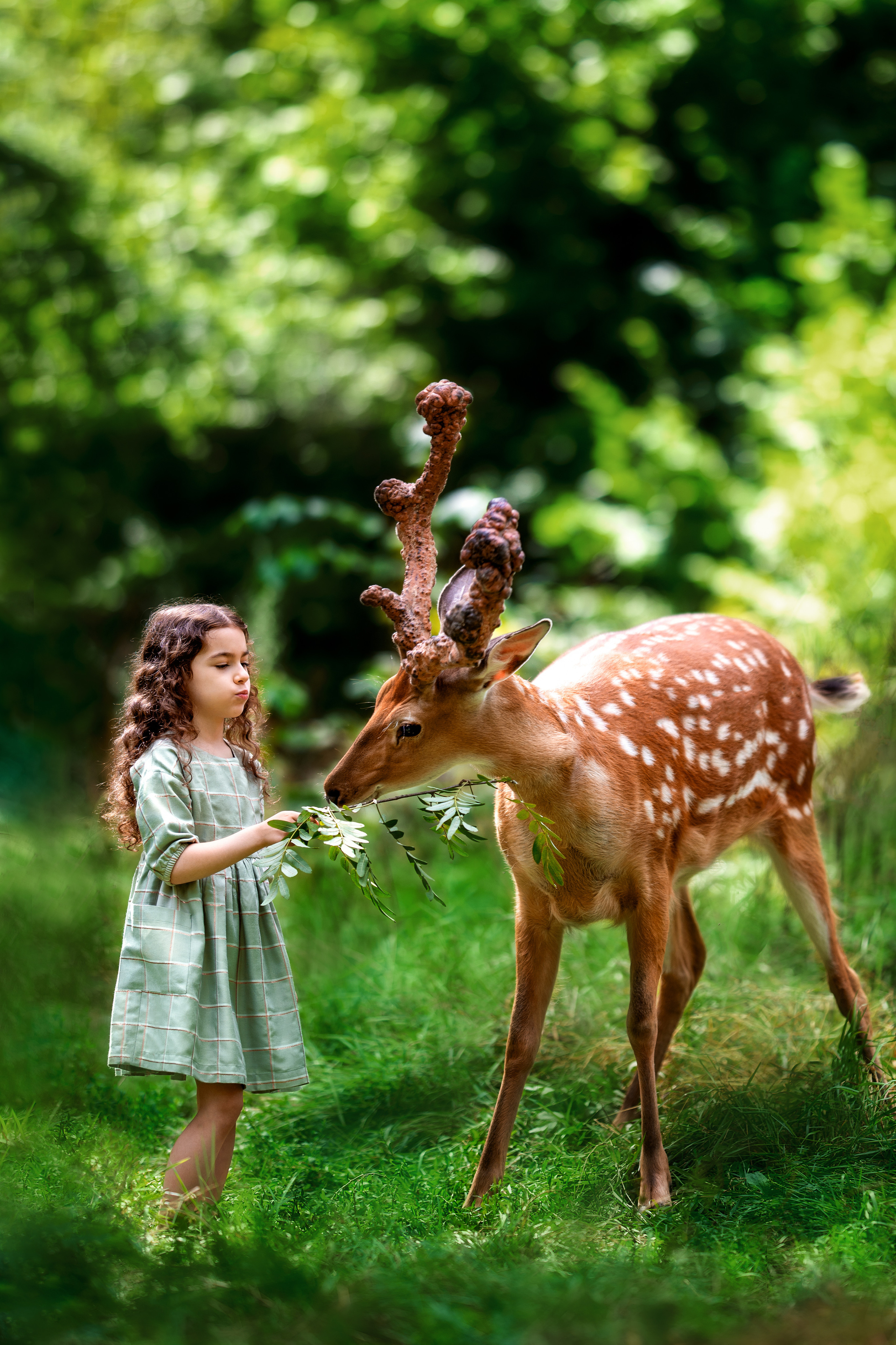 Фото с оленями. Фотограф Елена Сасс Москва