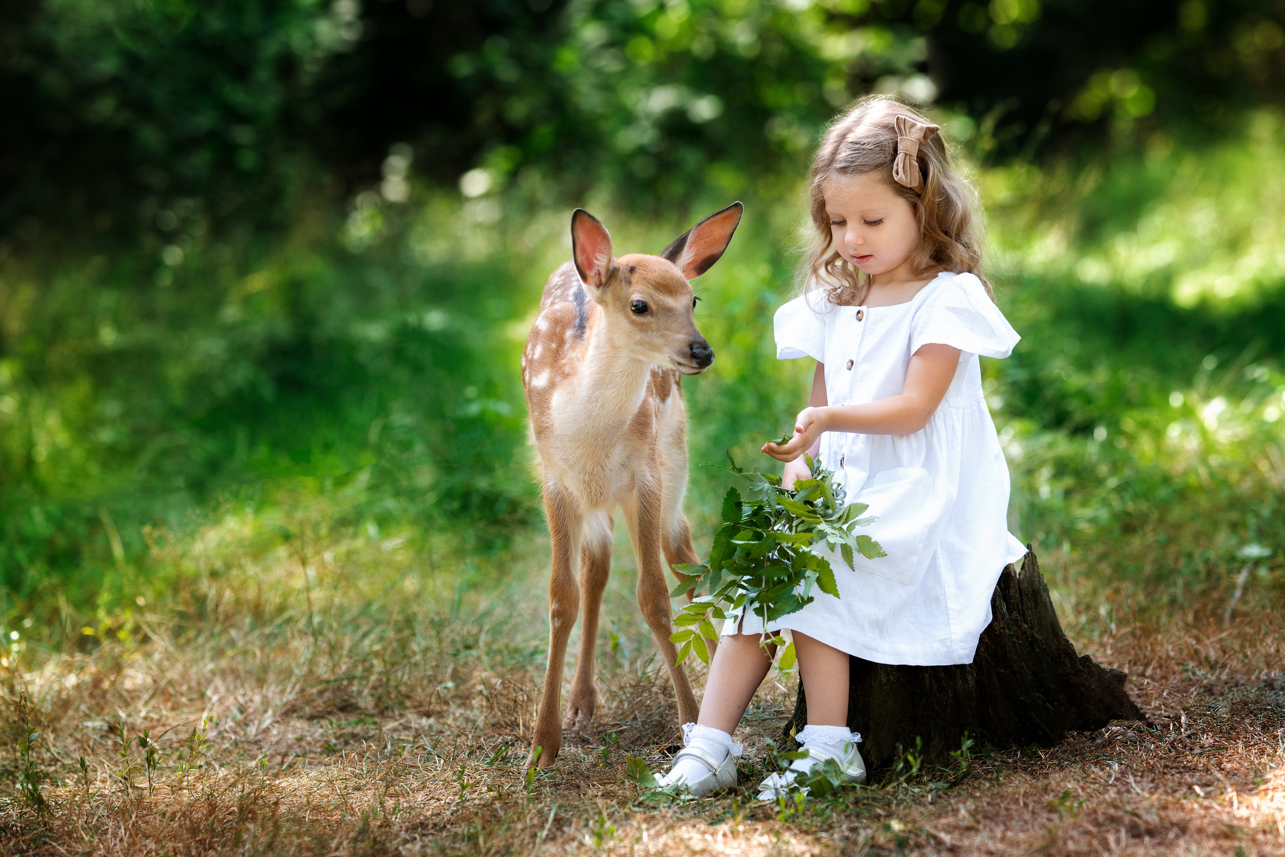 Фото с оленями. Фотограф Елена Сасс Москва
