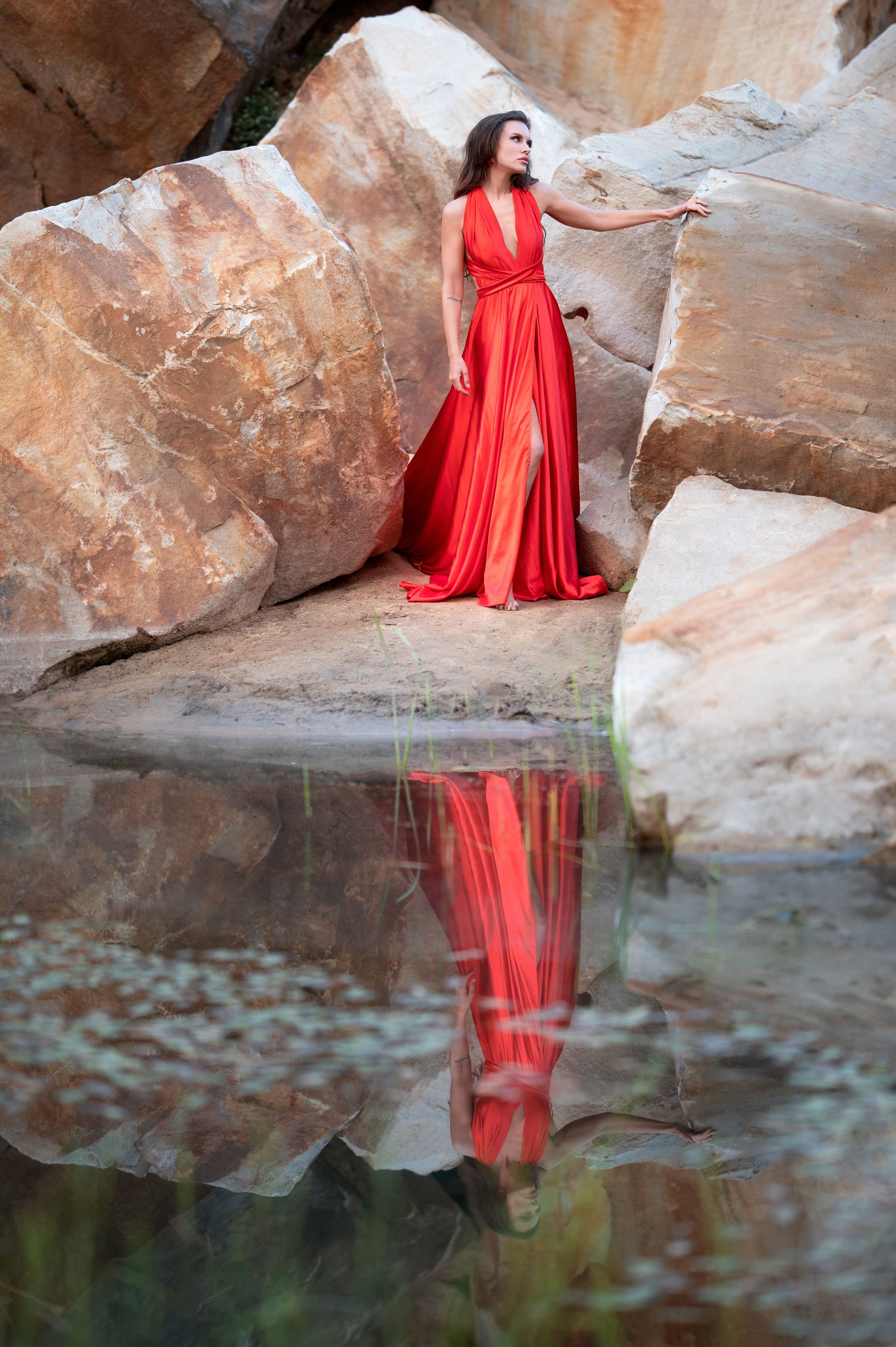 Роза пустыни. Фотограф Елена Сасс Москва