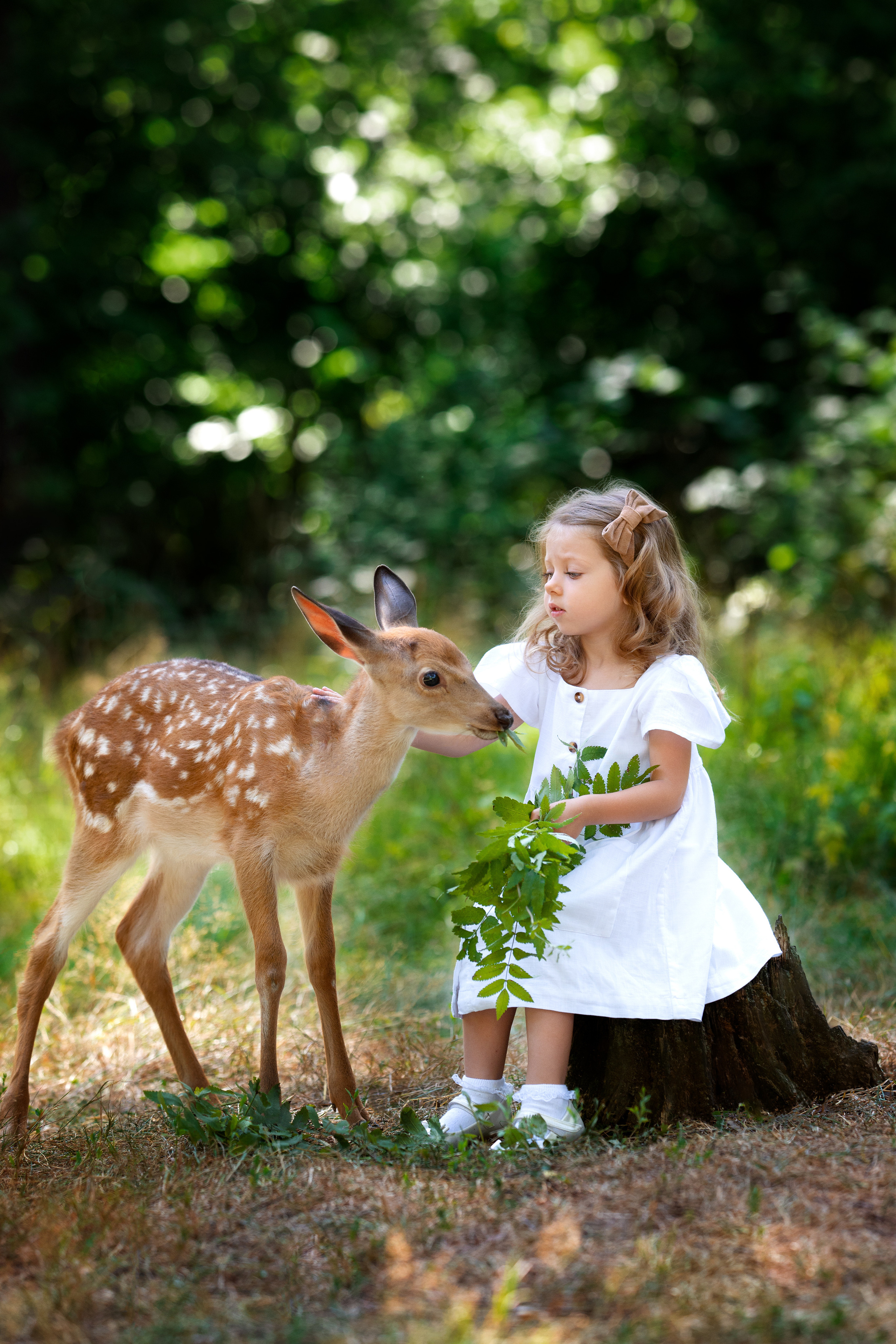 Фото с оленями. Фотограф Елена Сасс Москва