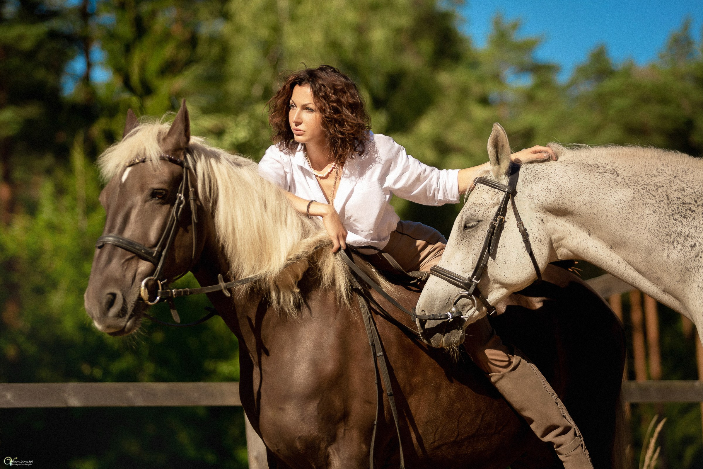 Фотосессия с лошадьми в катри-стиле. Фотограф женский и мужской портрет Санкт-Петербург