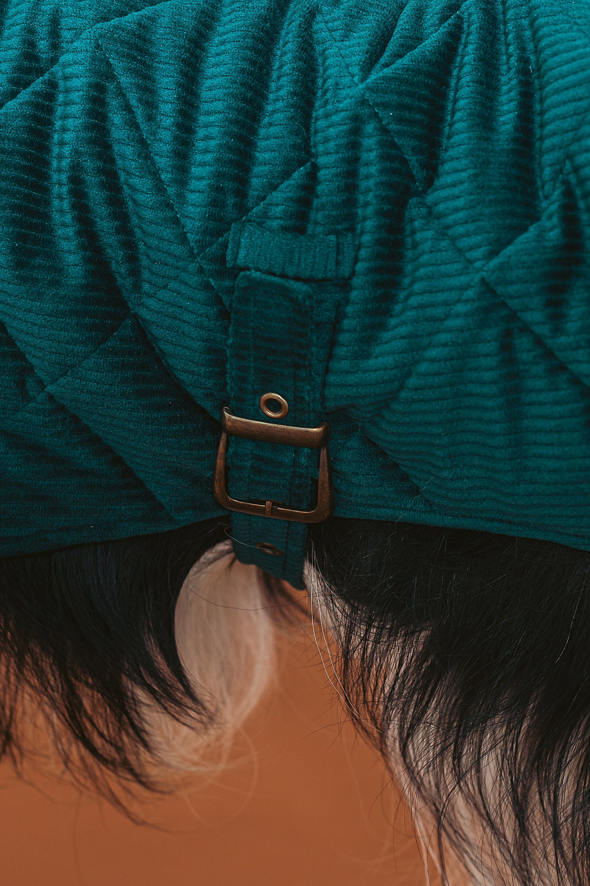 Съемка для бренда TEDDYBOY. Фотограф-анималист Татьяна Степанова