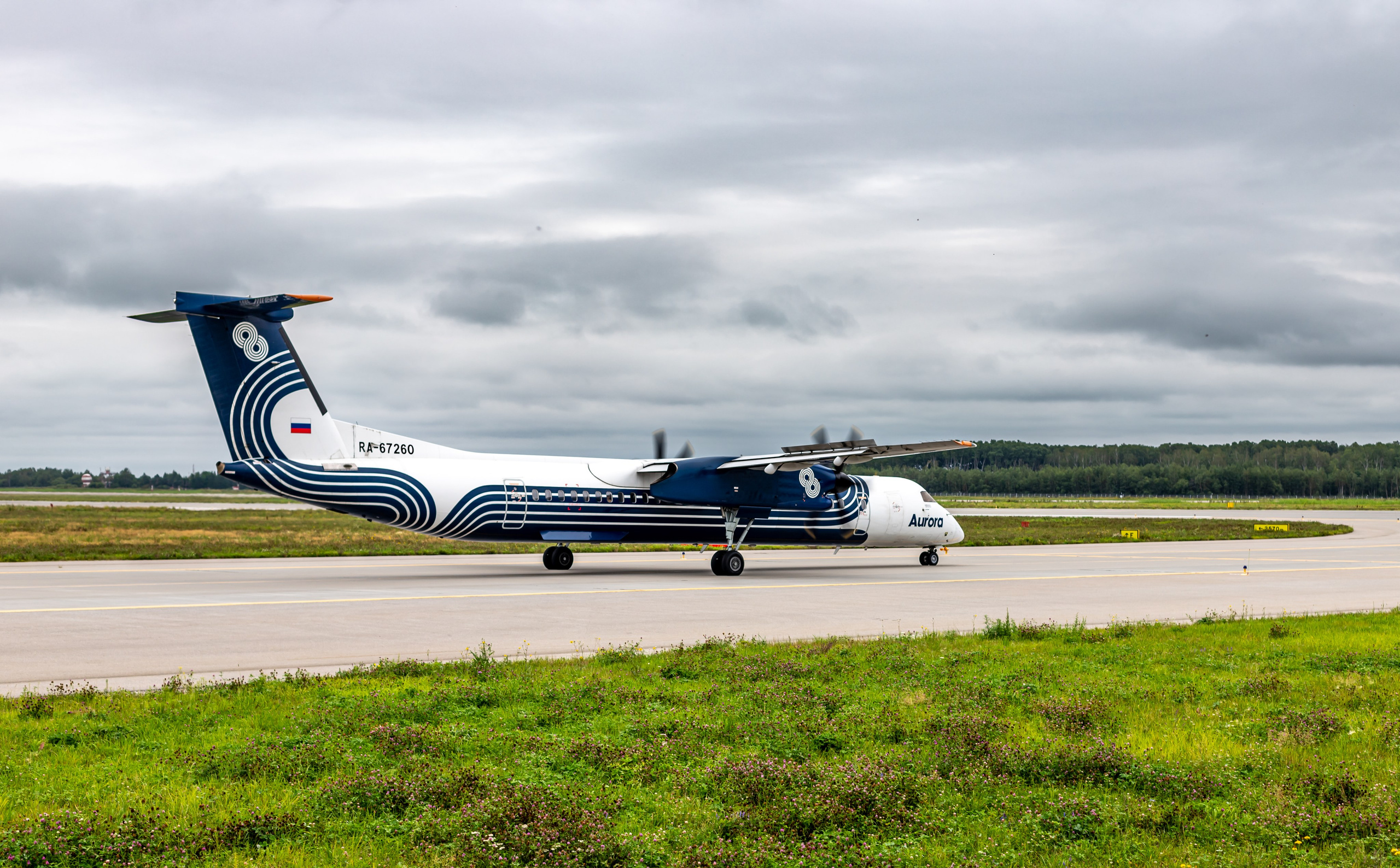 Споттинг 2024. Семейный и детский фотограф в Хабаровске Алевтина Проскурякова