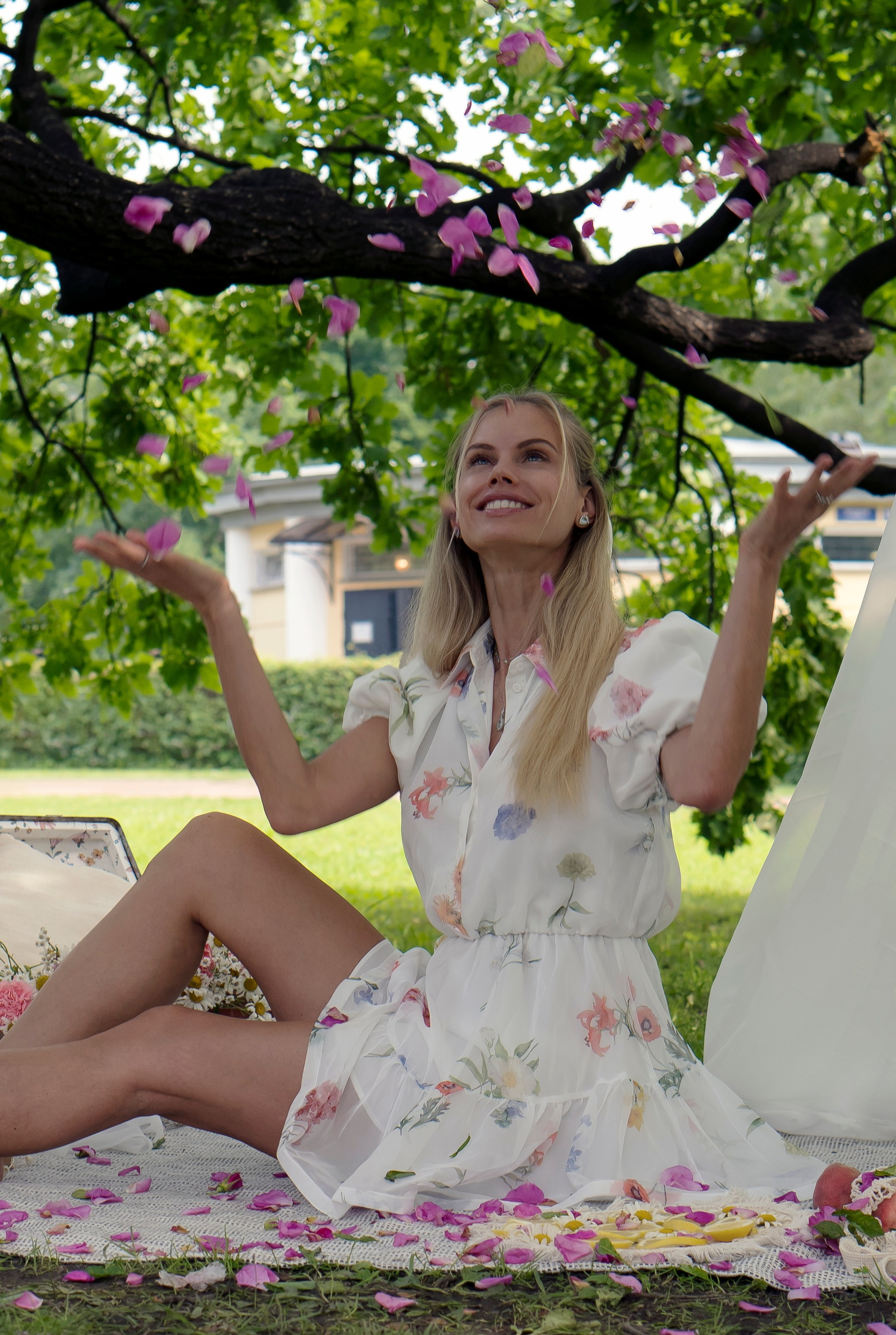 Елизавета. Портрет. Пикник. Главная