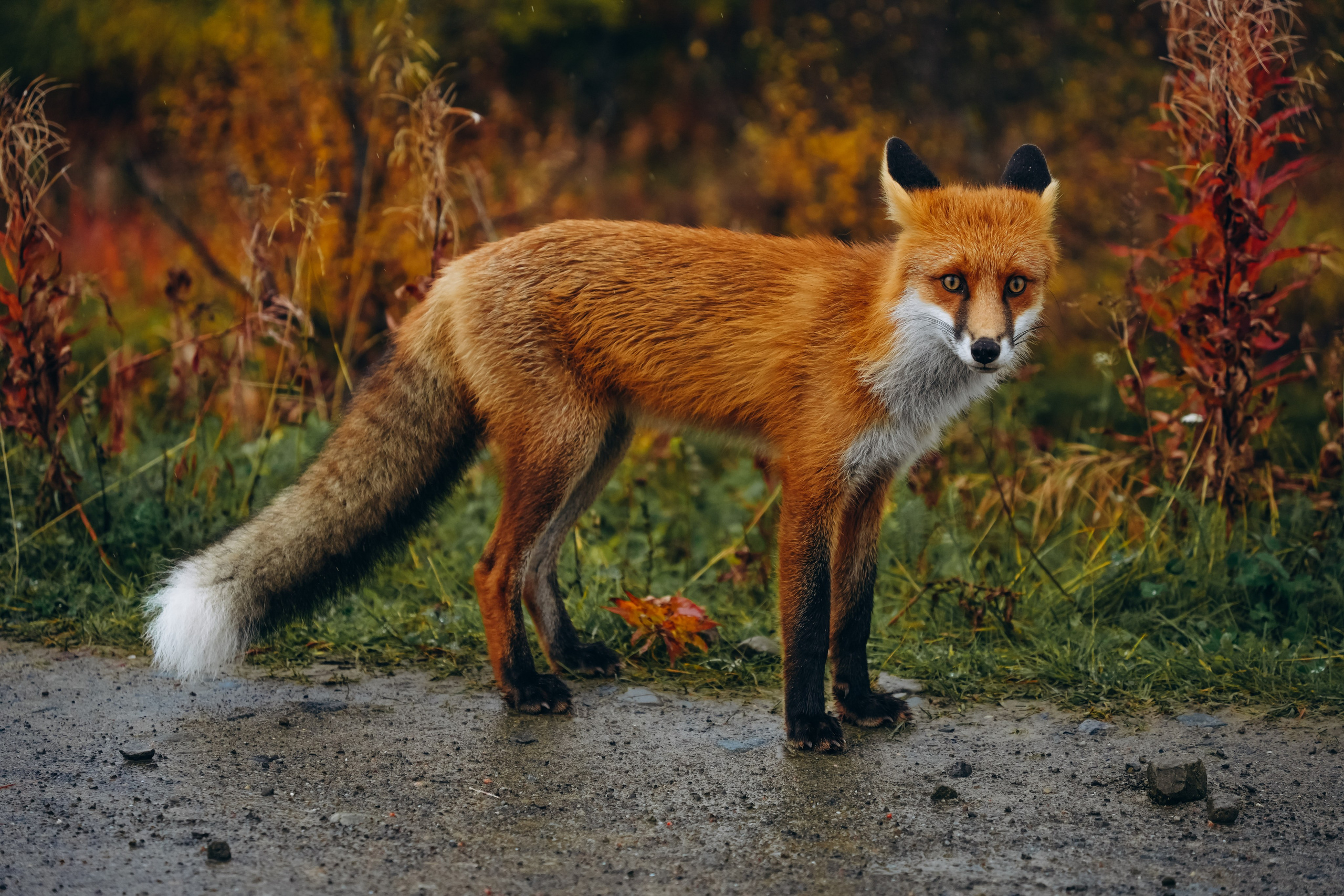 СЕВЕР. Event фотограф Степанова Александра
