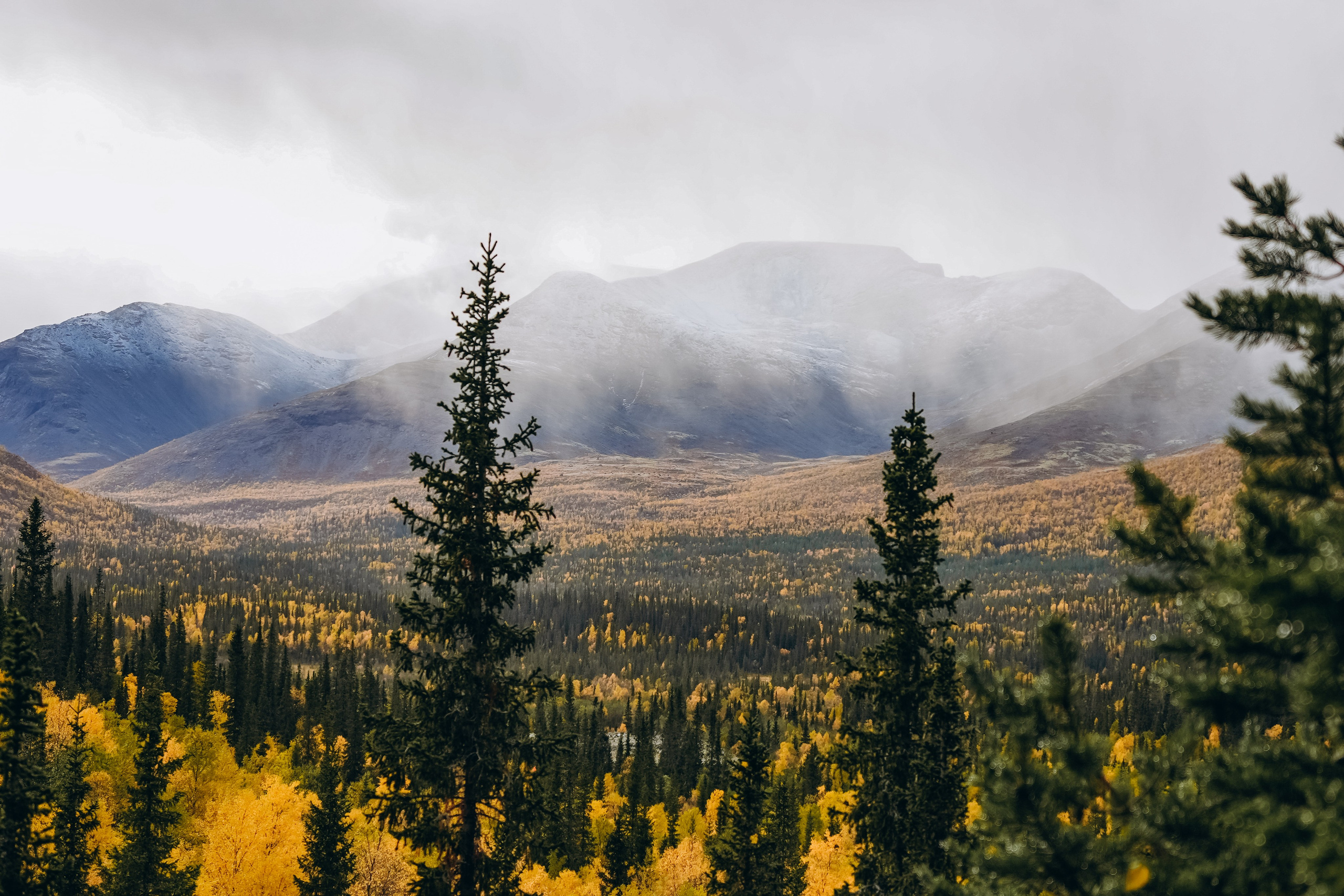 СЕВЕР. Event фотограф Степанова Александра