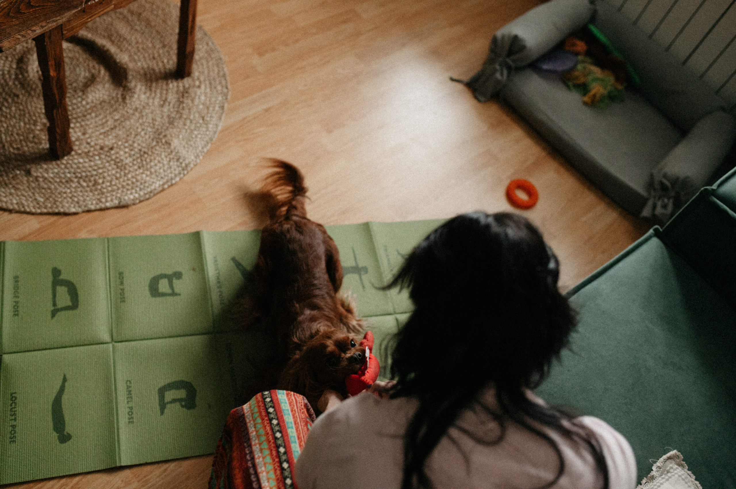 Оля и её меховая банда. Фотограф анималист в Москве Ольга Агушева
