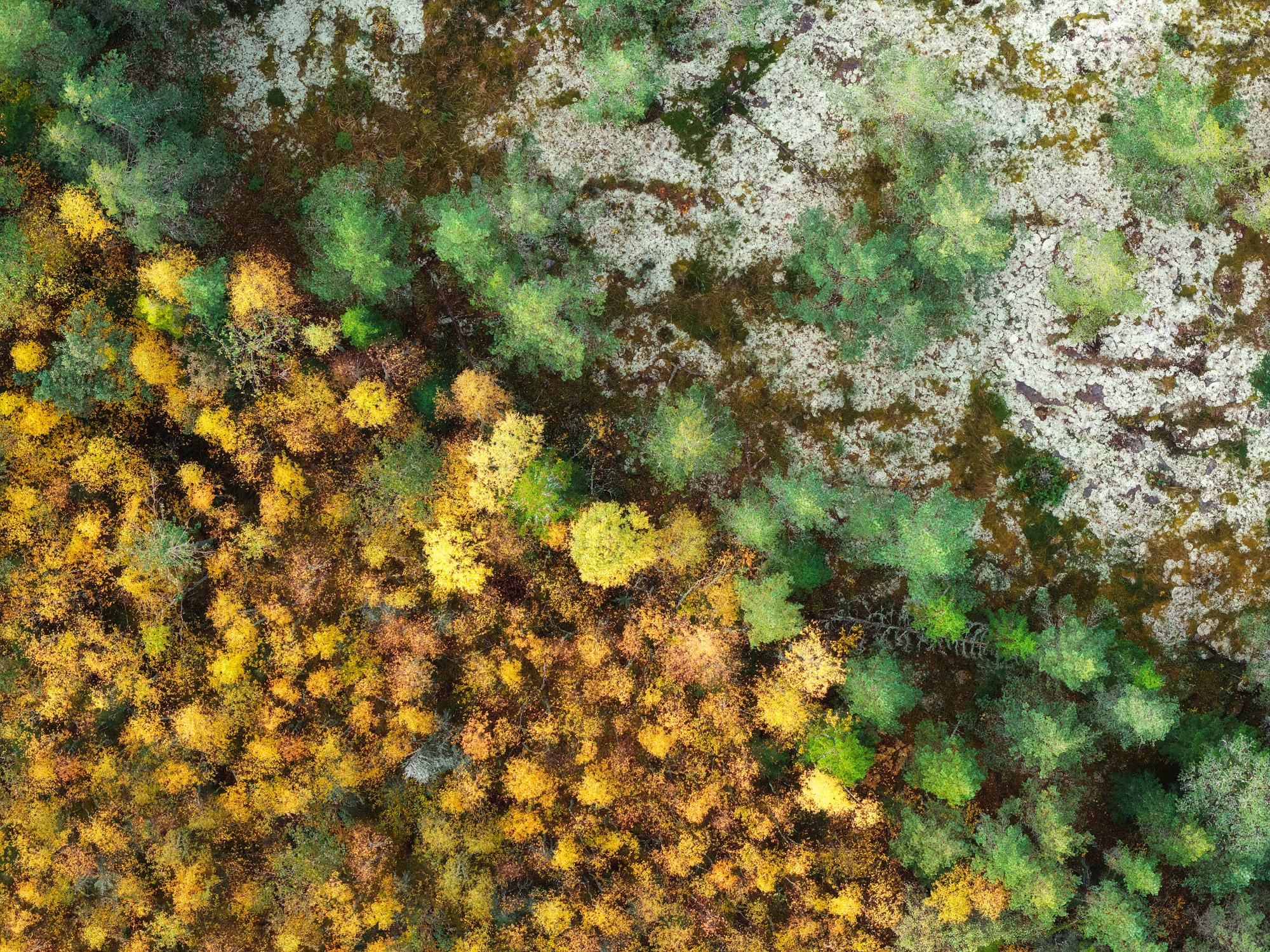 Остров Валаам. Архитектурный и пейзажный фотограф Кондратенко Руслан, Санкт-Петербург