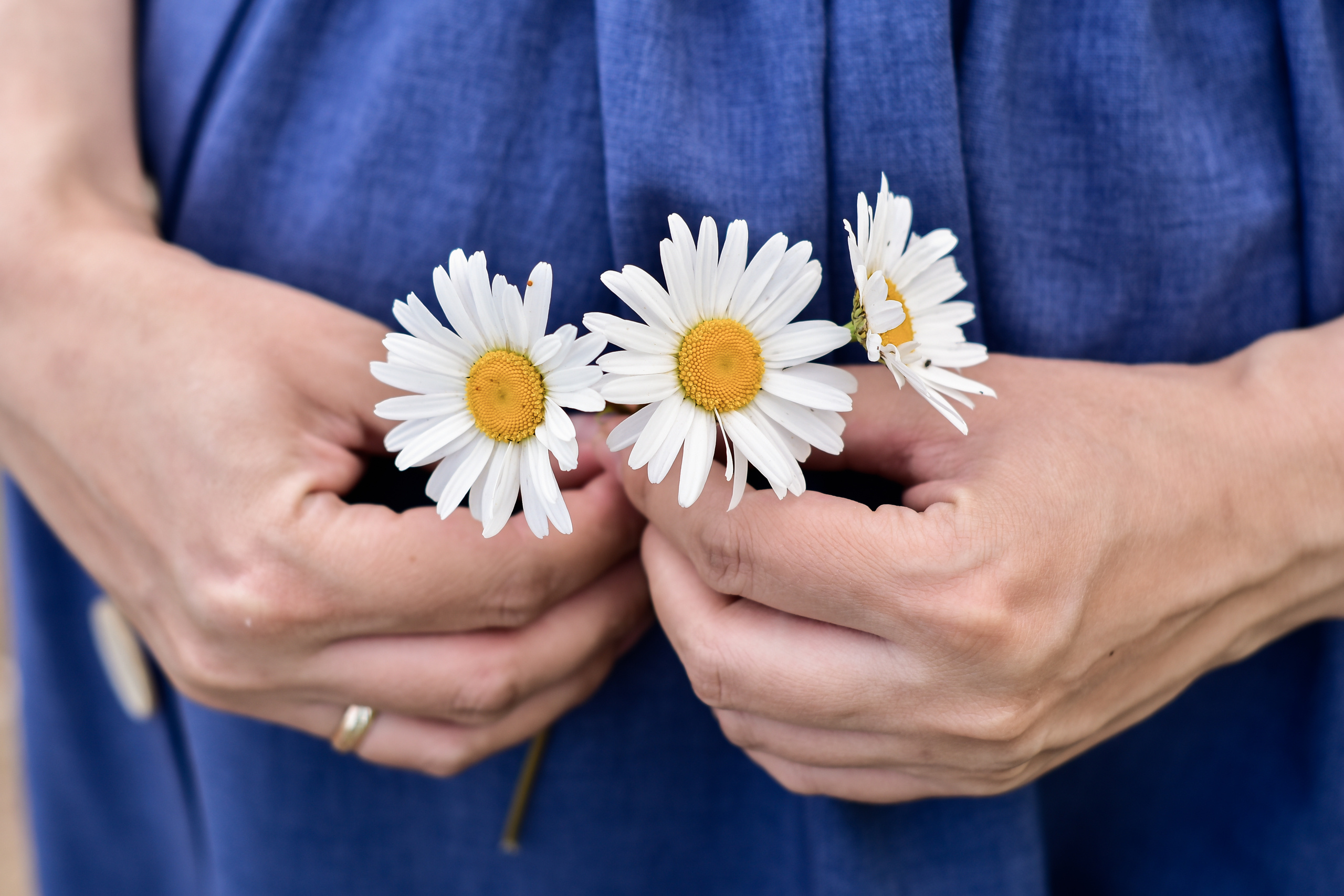 Семейные фотосессии. Фотограф в Красноярске / Дивногорске. Файзулина Анастасия