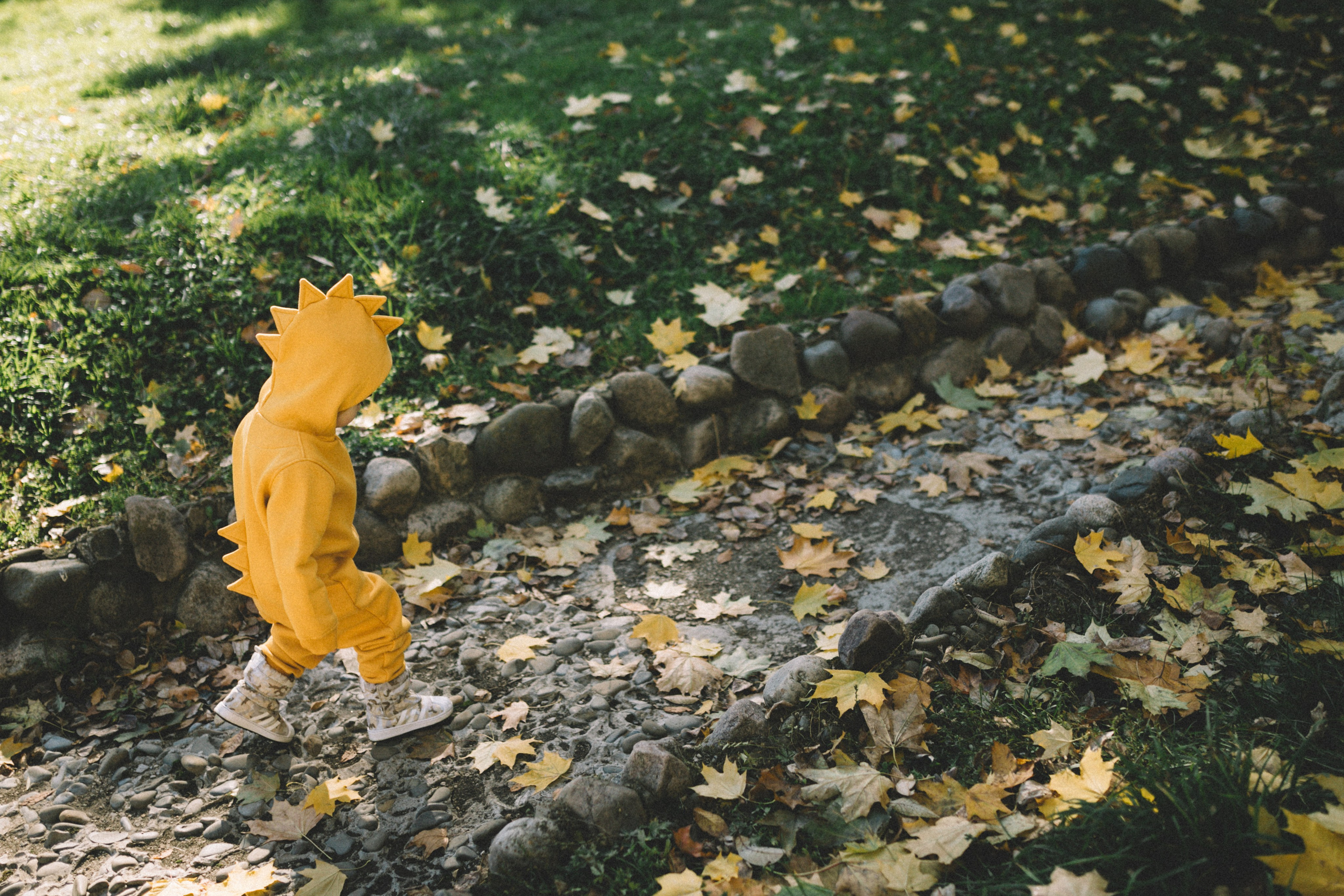 КОГДА ДЕРЕВЬЯ БЫЛИ БОЛЬШИМИ. Фотограф Лебедева Наталья